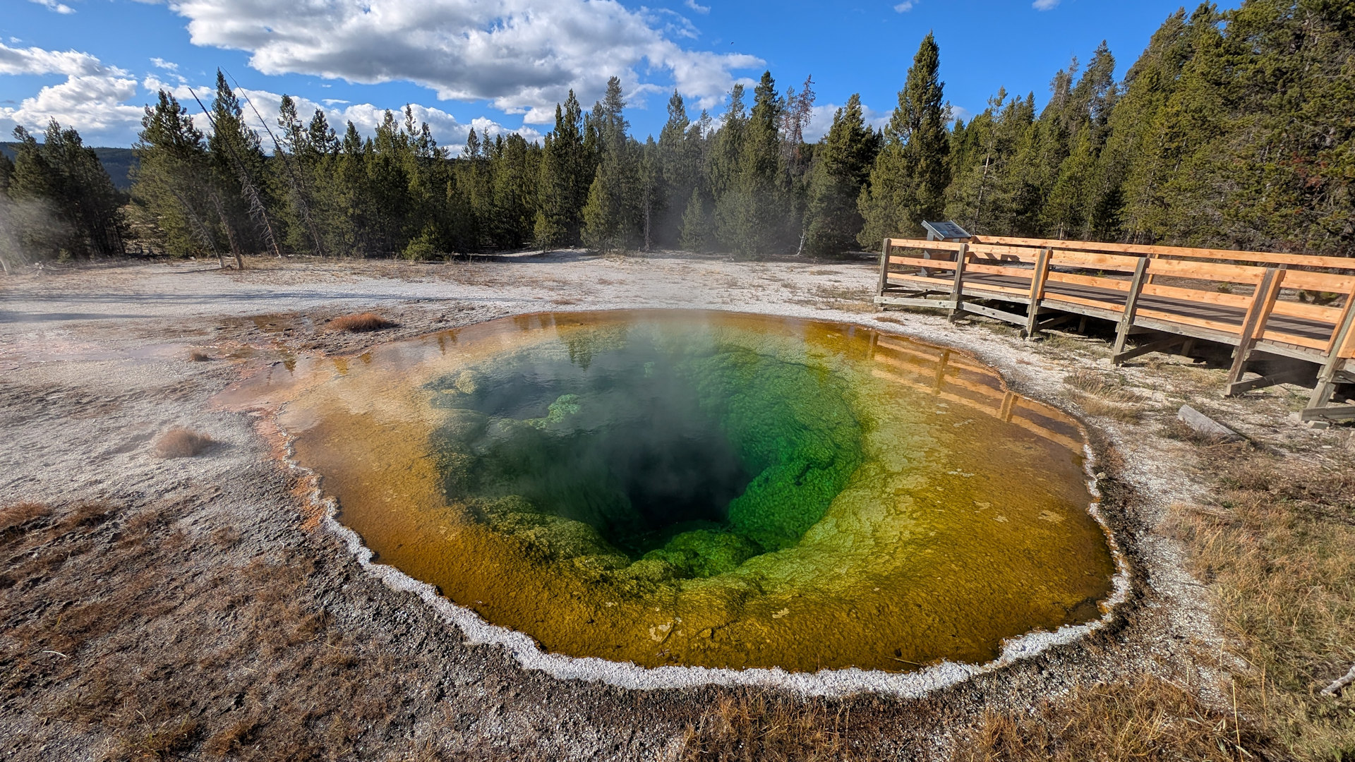 Der braun grün leuchtende Morning Glory Pool im Yellowstone Nationalpark 