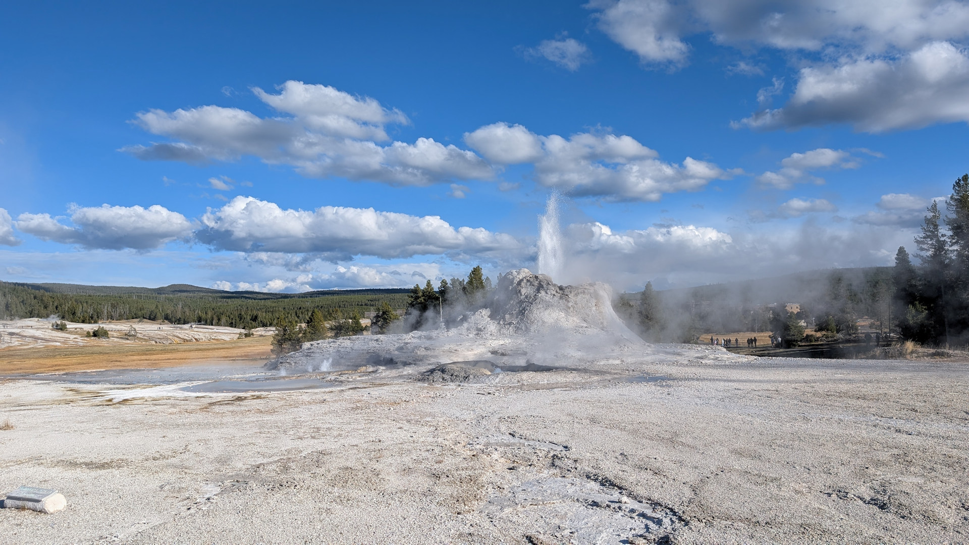 Geysir im Yellowstone Nationalpark 