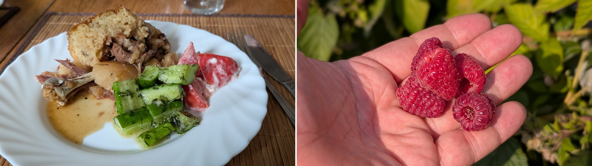 Bobat mit Hühnchenfleisch und Brot überbacken, eine Hand voll Himbeeren