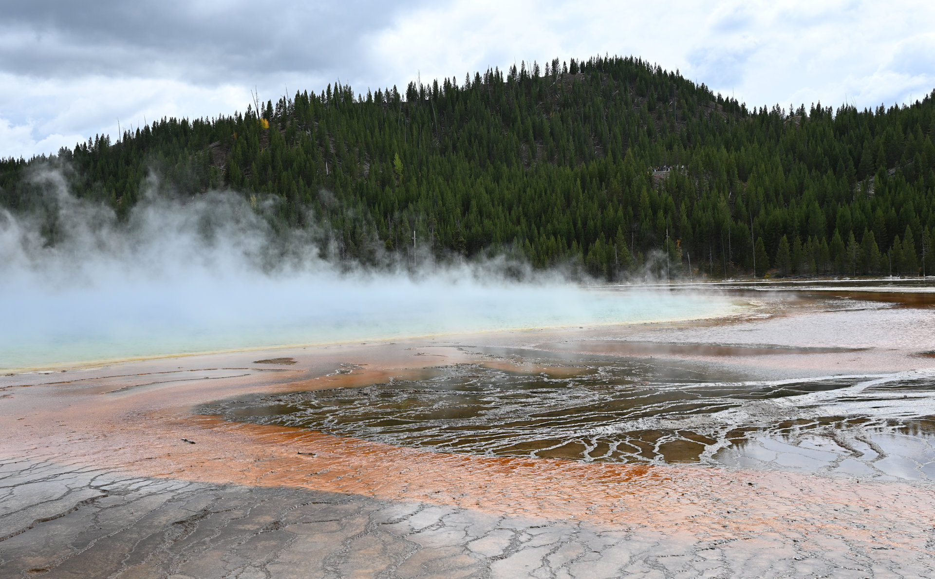 Dampfende Quelle vom Fountain Paint Pot