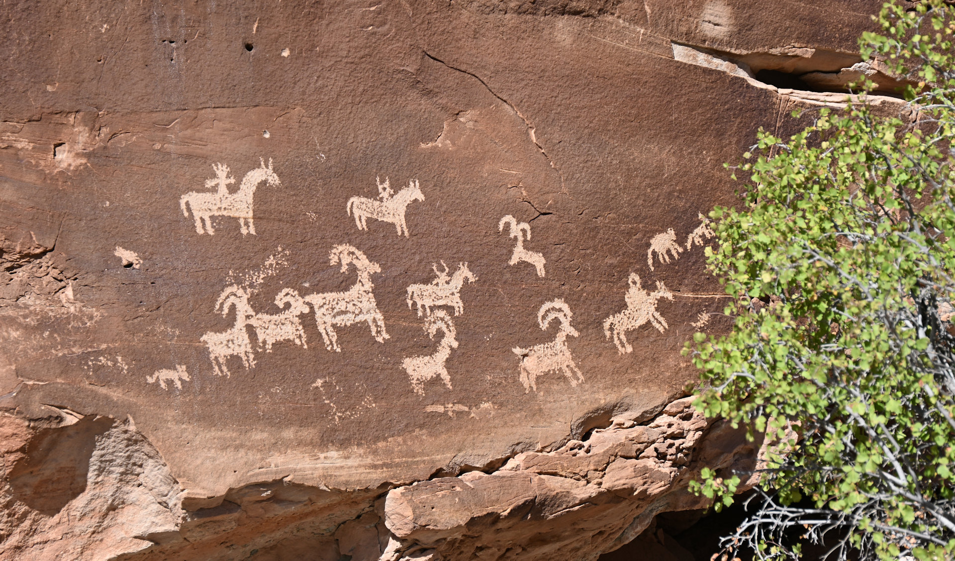 Felsmalereien im Arches Nationalpark der Pferde, Ziegen, Widder und einen Hund zeigt. 