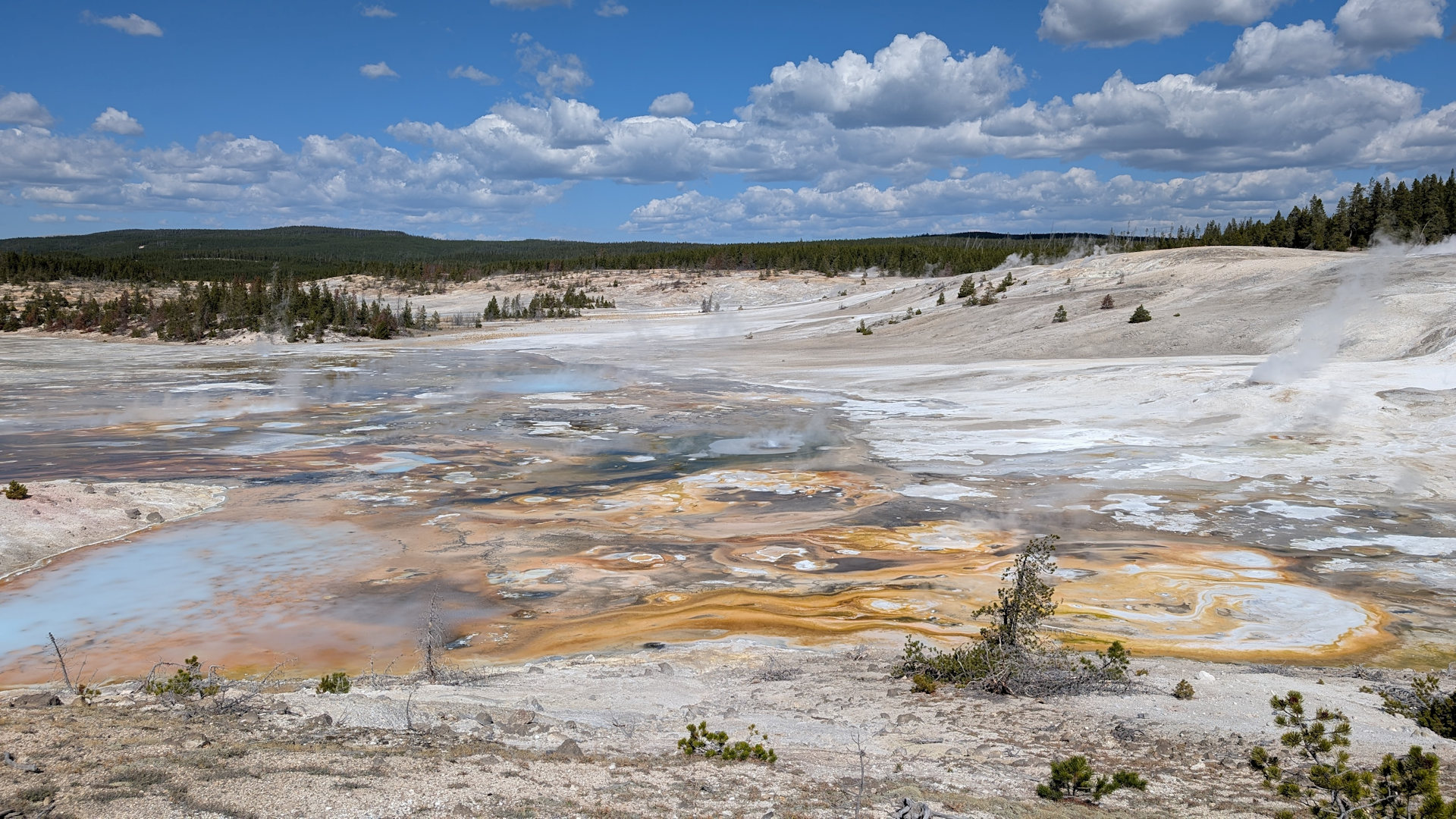 Norris Bassin im Yellowstone Nationalpark 