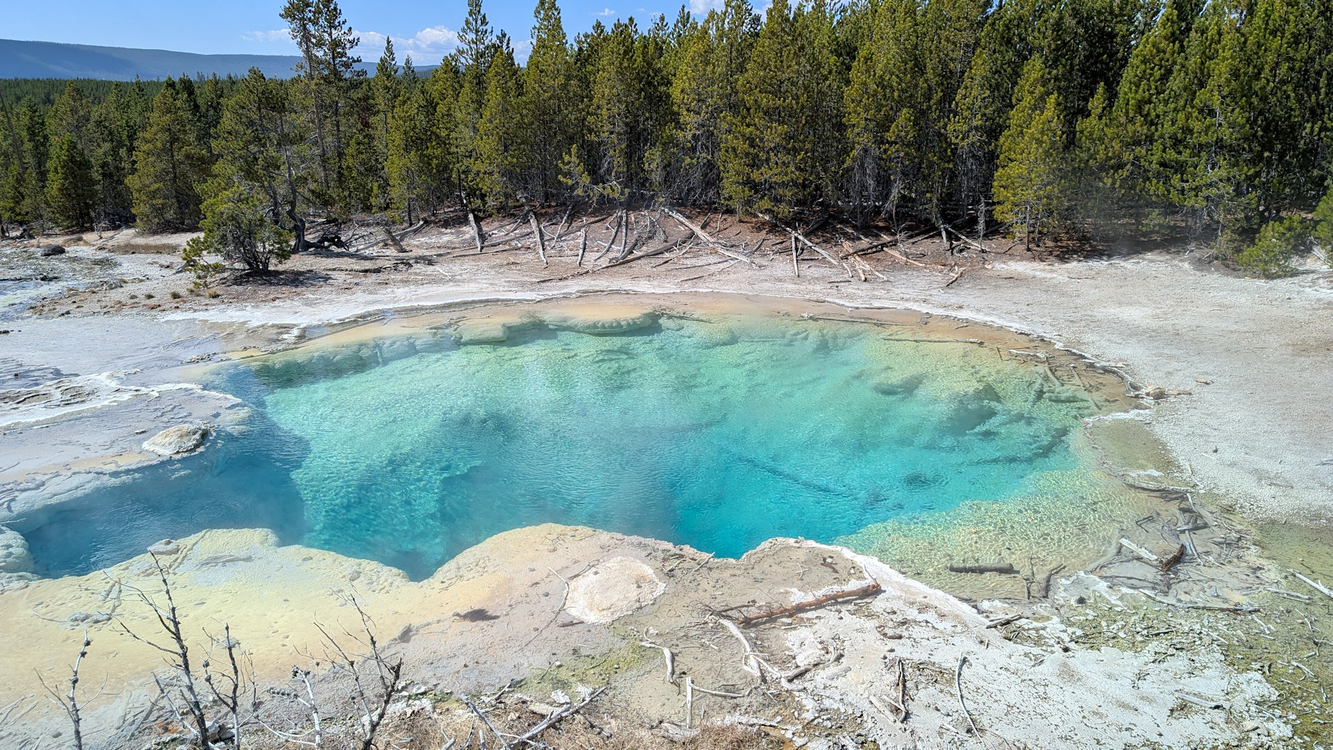 Türkis schimmernde Thermalquelle im Norris Bassin Yellowstone Nationalpark