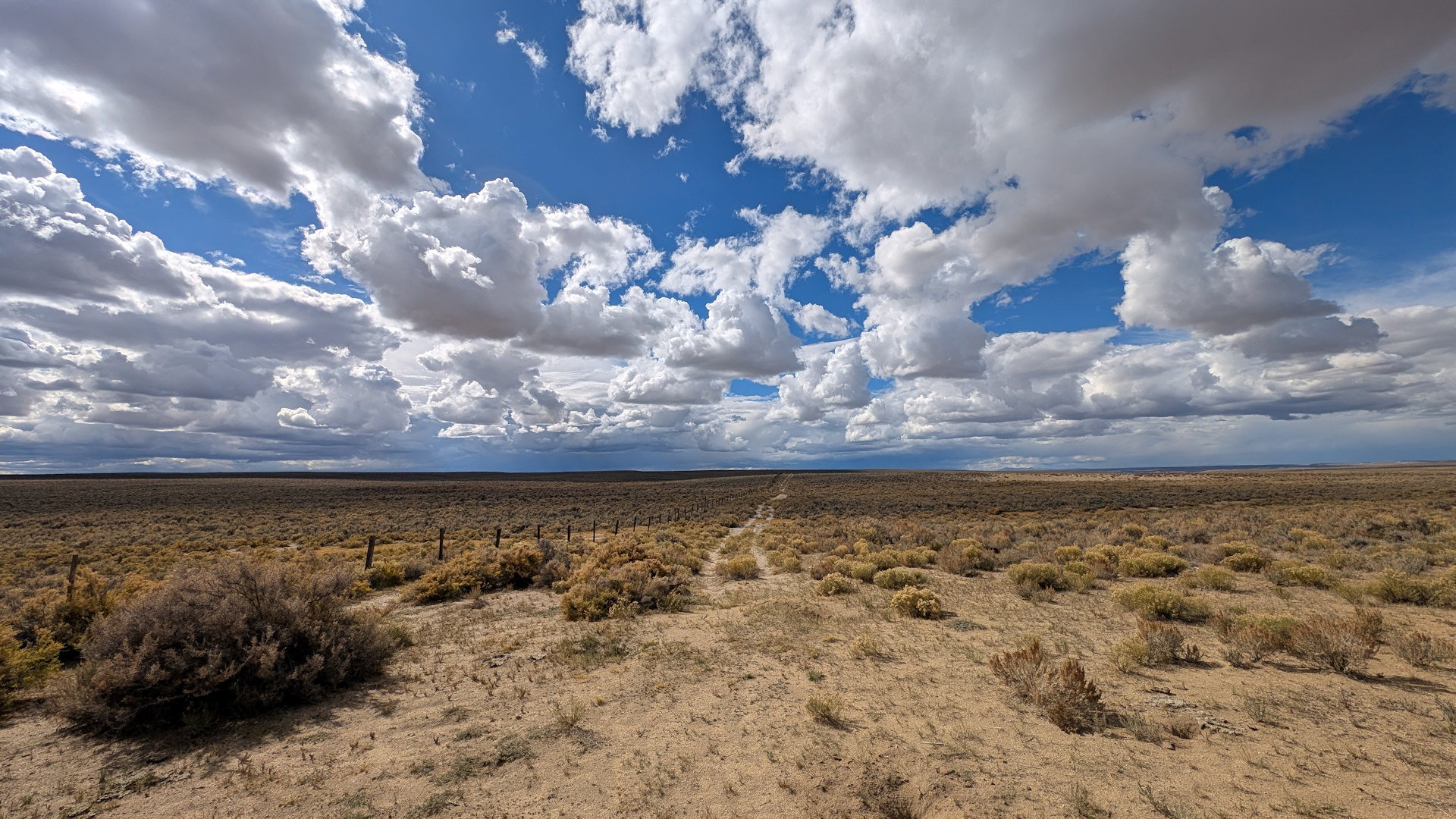 Panorama Oregon Trail mit einsamer Spur bis zum Horizont blauer Himmel mit weissen Wolken 