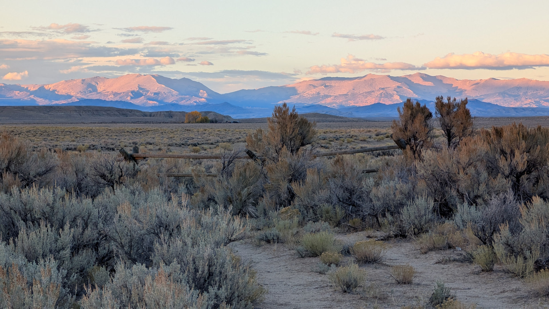 Rose angeleuchtete Berge der Rocky Mountains im Wyoming 
