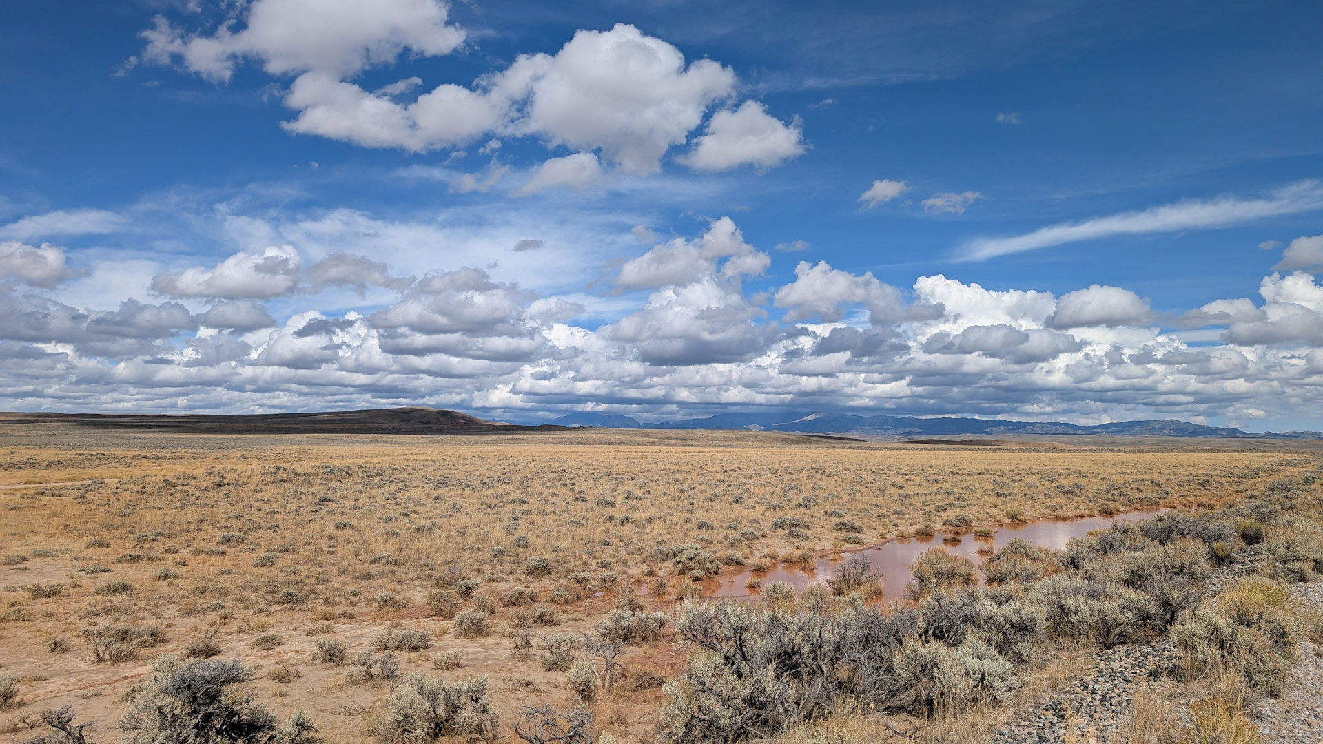 Steppe mit blauem Himmel und weissen Wolken in Wyoming 