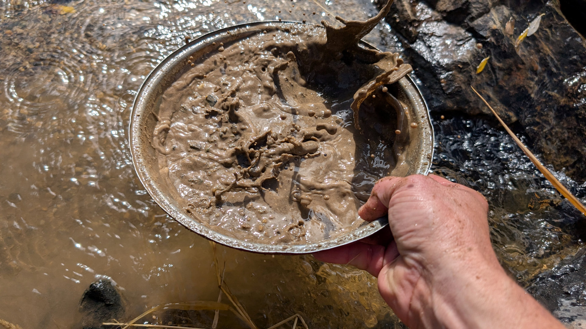 Goldhaltiger gewässerter Sand wird in einem Alu Deckel durchgeschüttelt