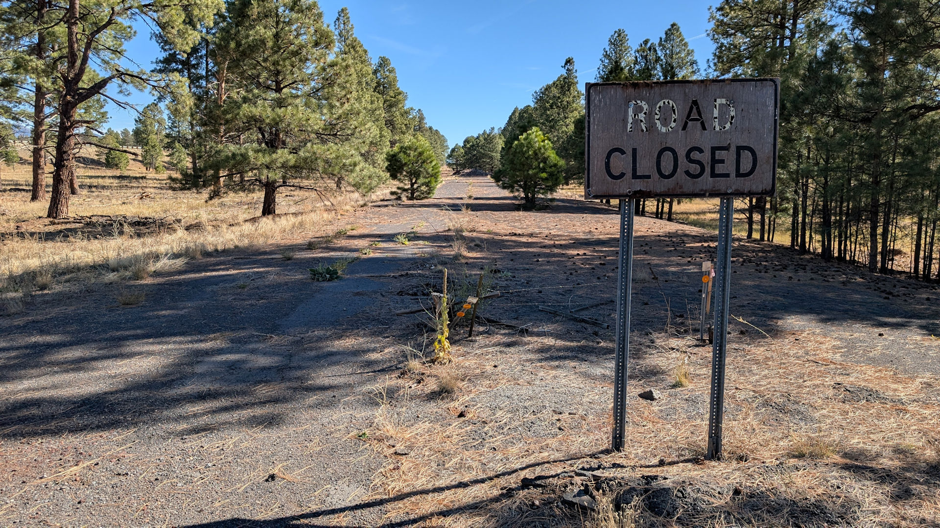 Road closed Schild auf einem ehemaligen Abschnitt der Road 66