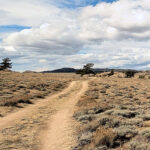 Thermalquellen Bilder & etwas Ranger Stress im Yellowstone Nationalpark