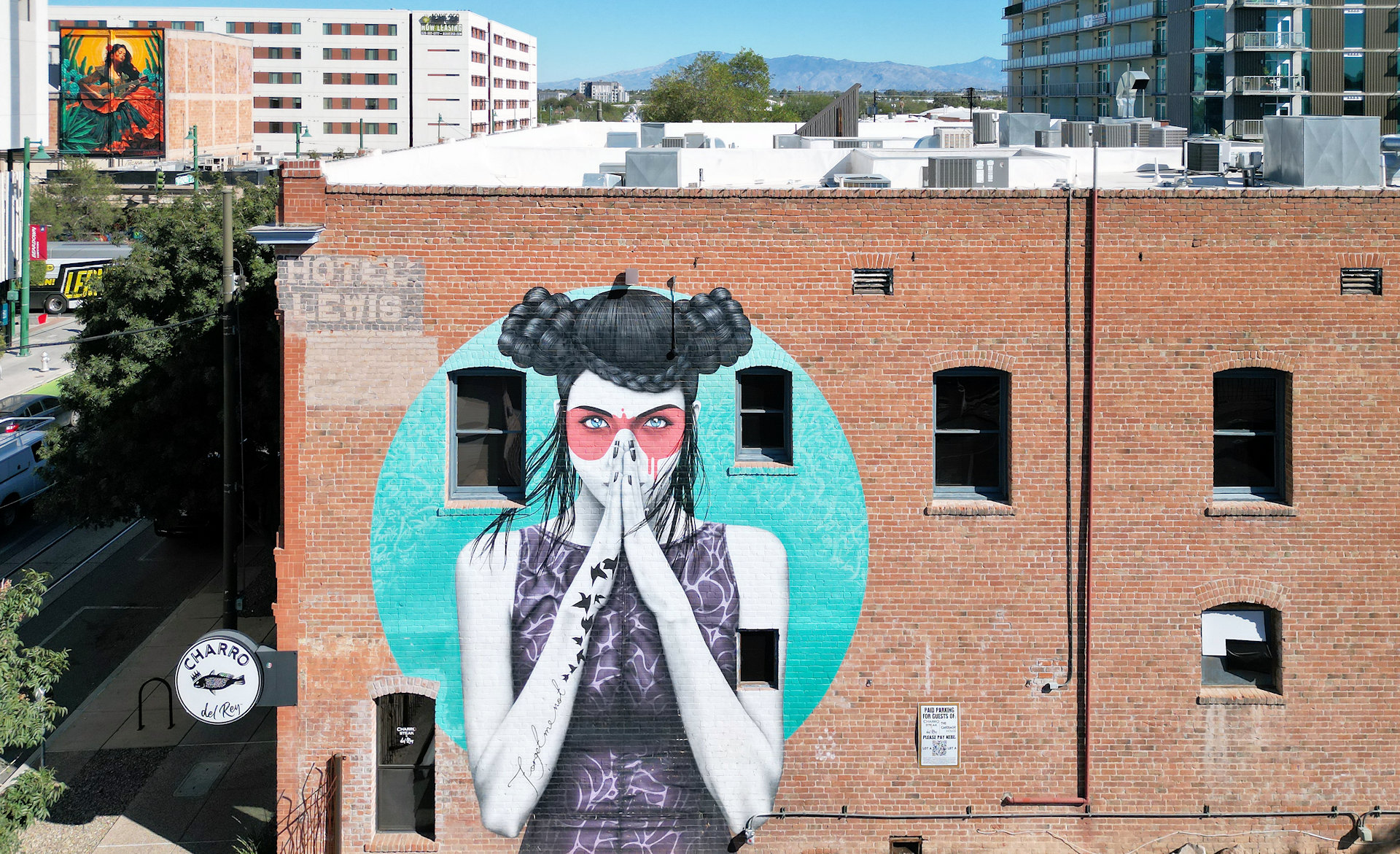 "Vergiss" Murales am Hotel Lewis von Fin DAC Tucson Arizona