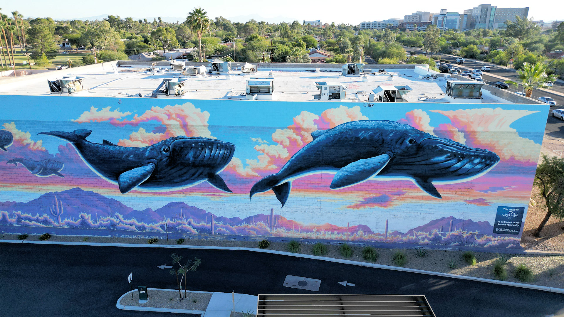 Desert Whales Murales in Tucson