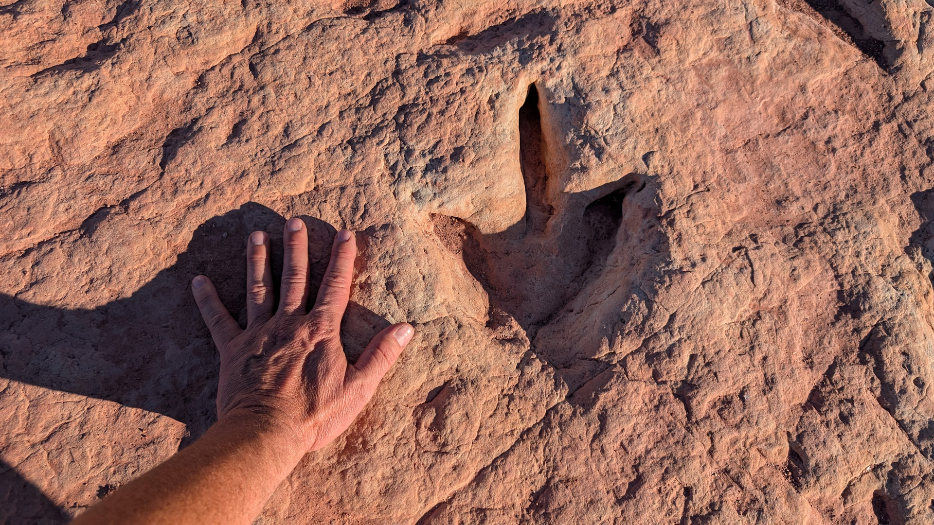 Menschliche Hand neben einem etwa gleich grossen versteinerten Fussabdruck von einem Dinosaurier