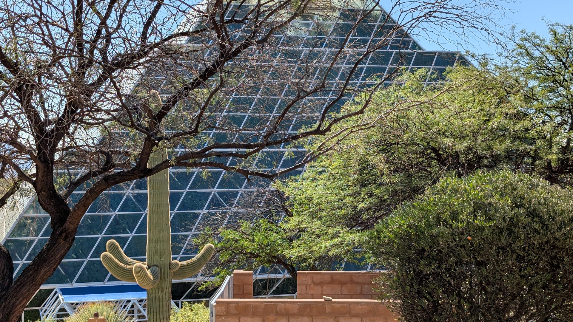 Biosphere 2 Glaskonstruktion 