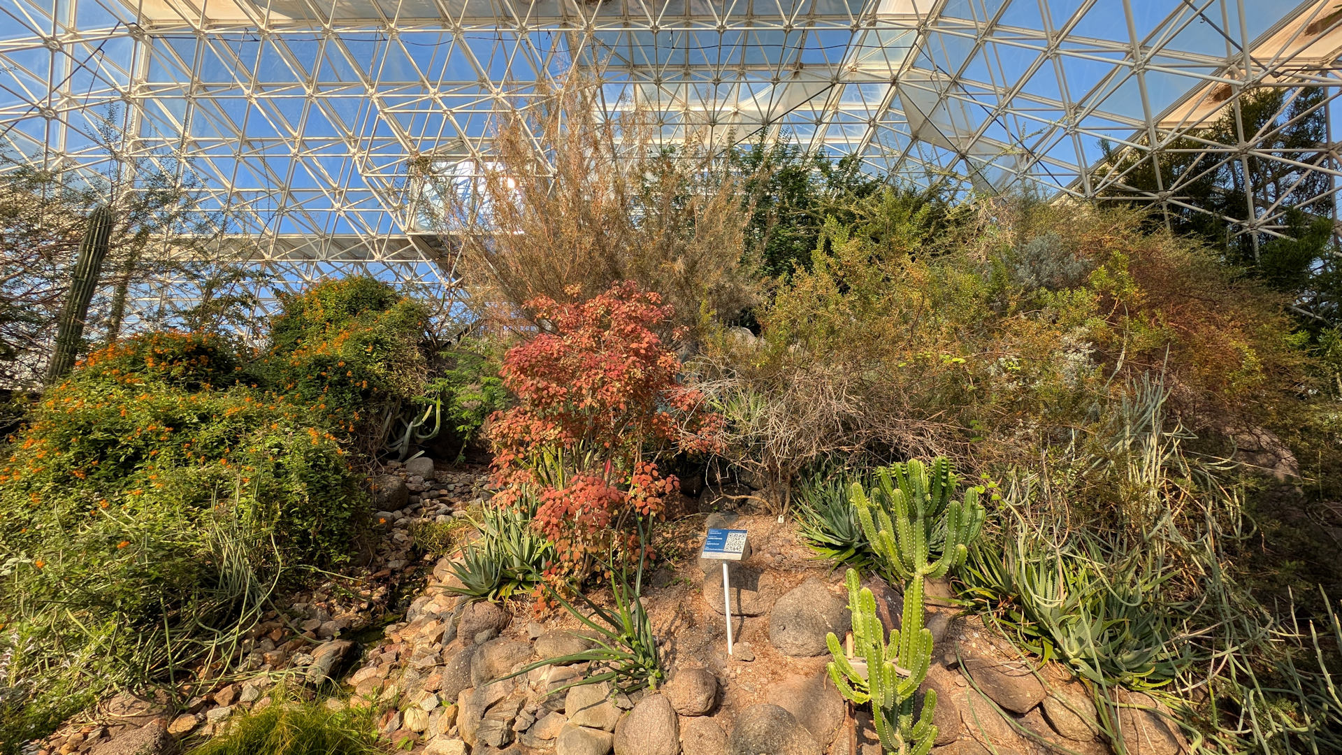 Innenansicht Biosphere 2 Savannenlandschaft unter Glasdach 