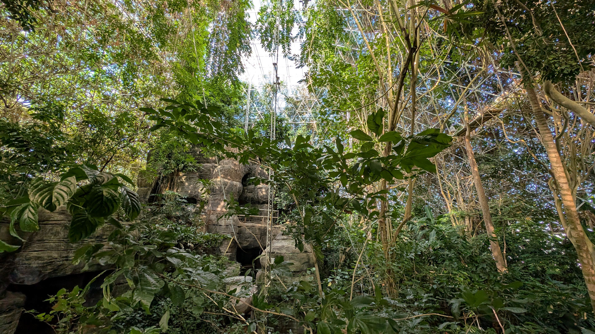 Innenansicht Biosphere 2 Regenwald