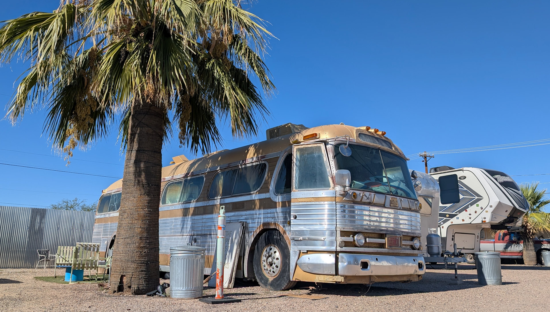 GM PD-4104 Reisebus neben einer Palme