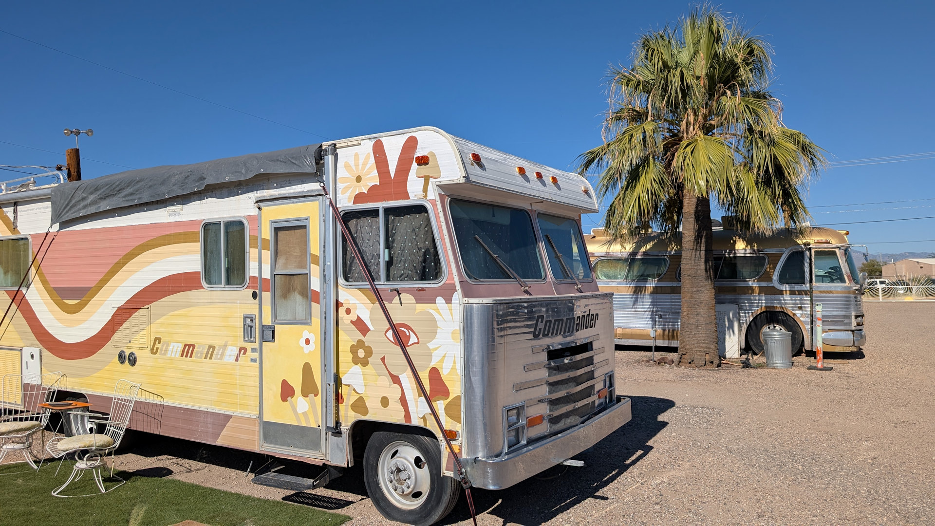 California Commander im El Pais Tucson Motel neben einer Palme