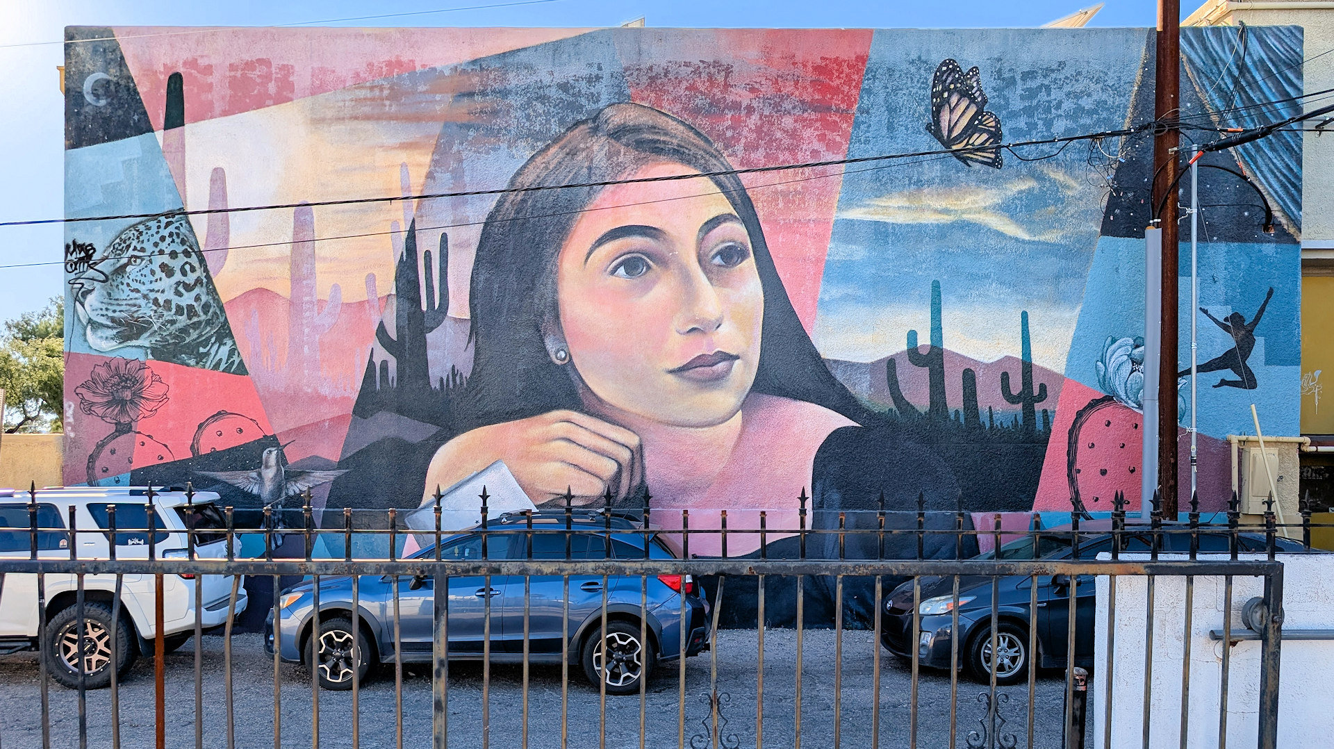 Sonora Waldbild in Tucson, 2018, geschaffen durch Karlito Miller Espinosa