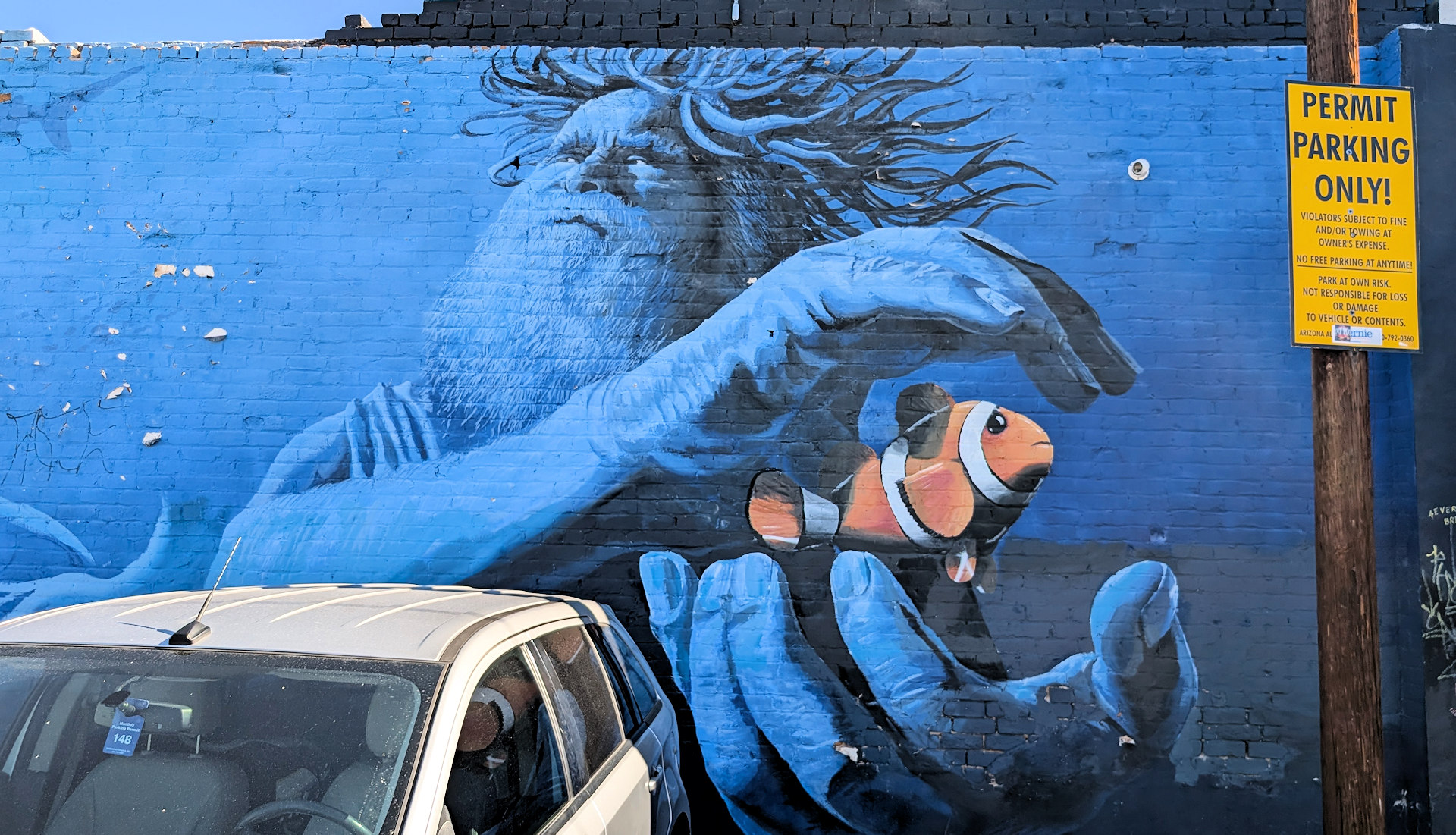 Wandbild mit einem blauen Riesen der schützend seine Hände um einen Clownfisch hält