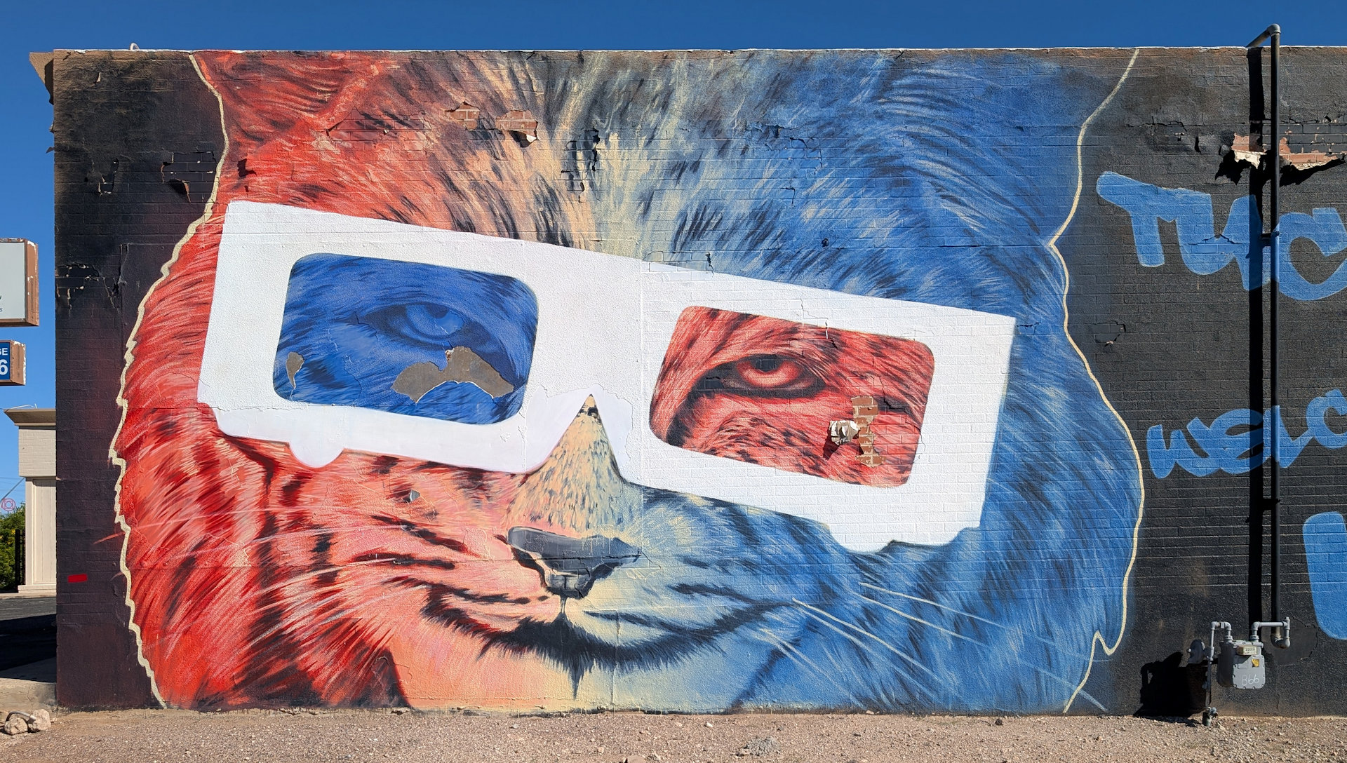 Street Art Tiger mit 3D Brille in Tucson