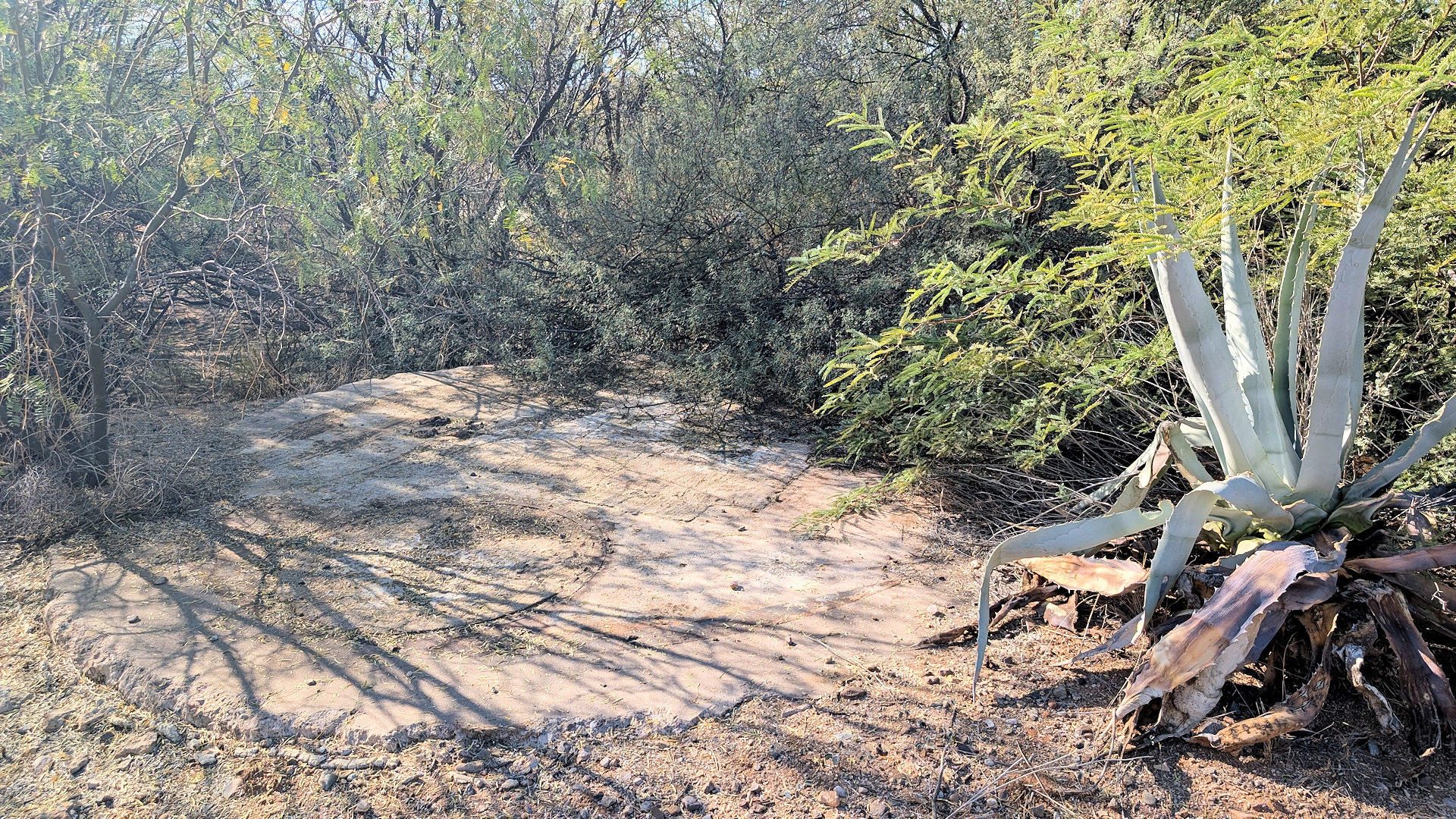 Betonfundament der HF Antenne am Rand der Site 570-9