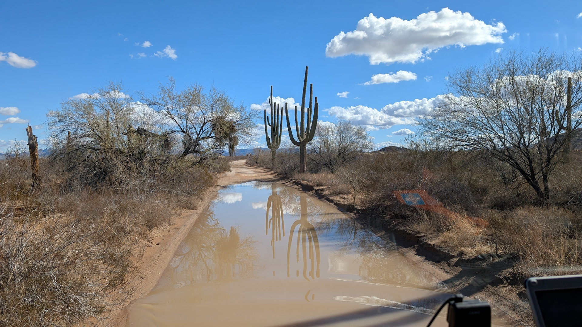 Mit Wasser überschwemmte Piste in der sich zwei Kakteen spiegeln 