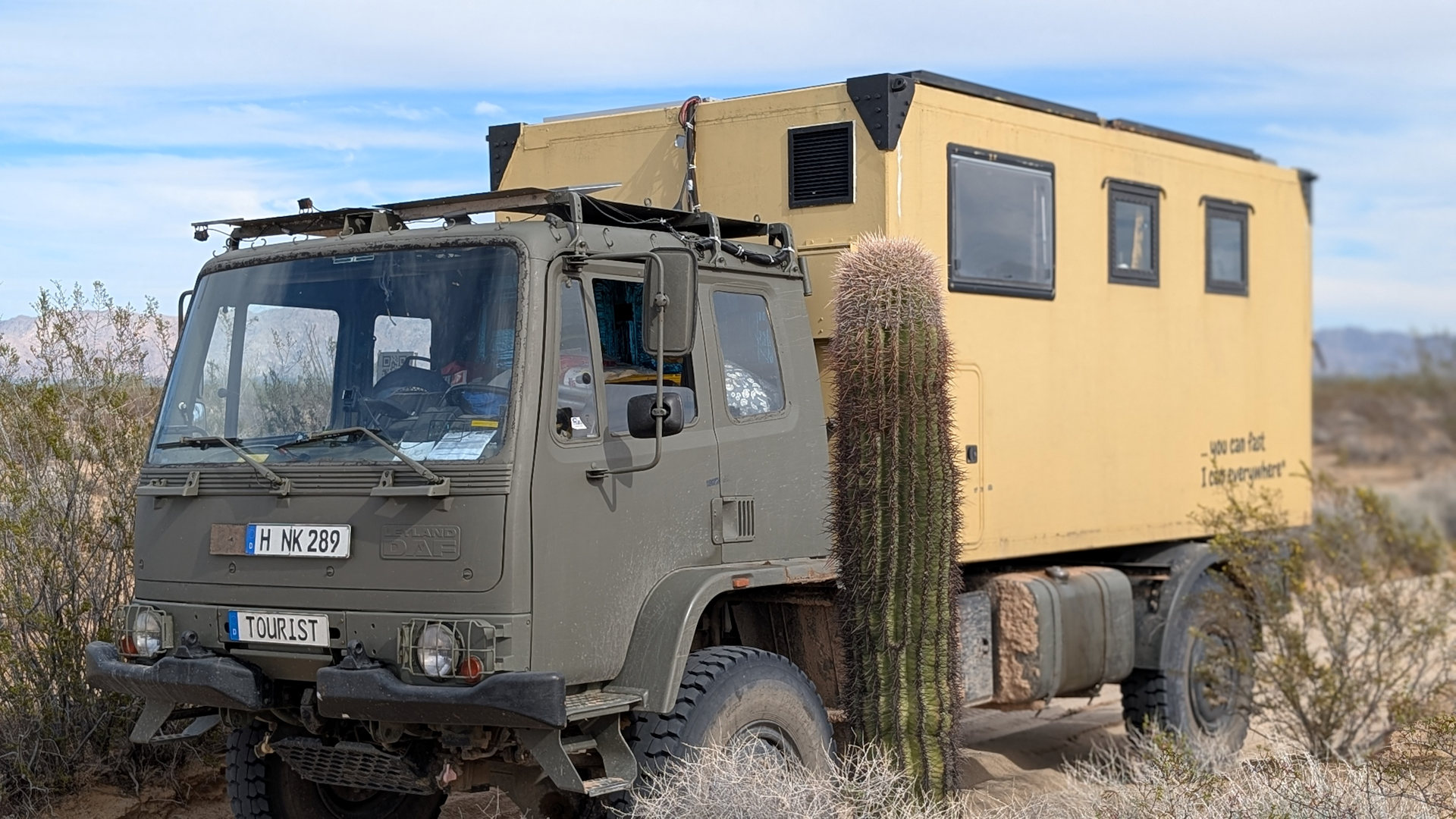 DAF T244 LKW neben einem Kaktus 