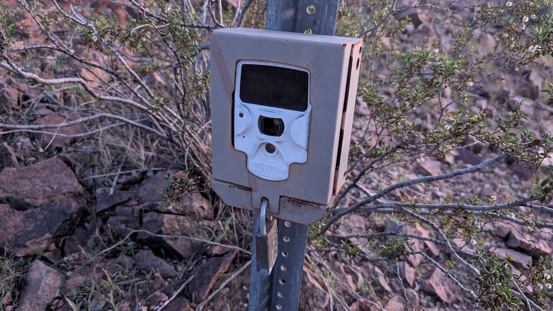 Government Überwachungskamera in einem Metallkasten 