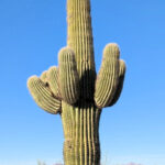 Im Titan II Cold War Atomraketen Bunker Museum, Tucson