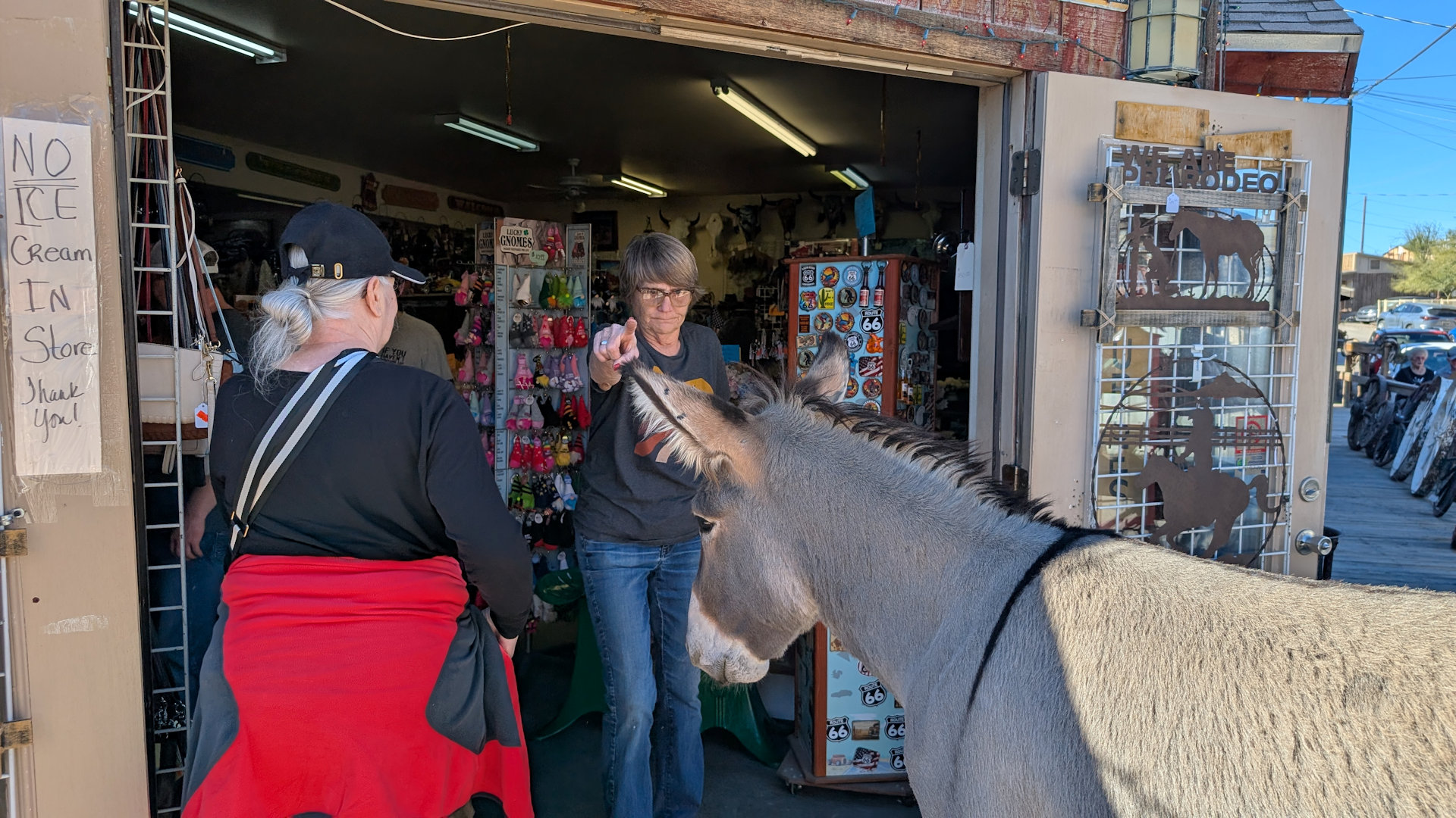 Esel in Oatman vor einem Souvenirladen