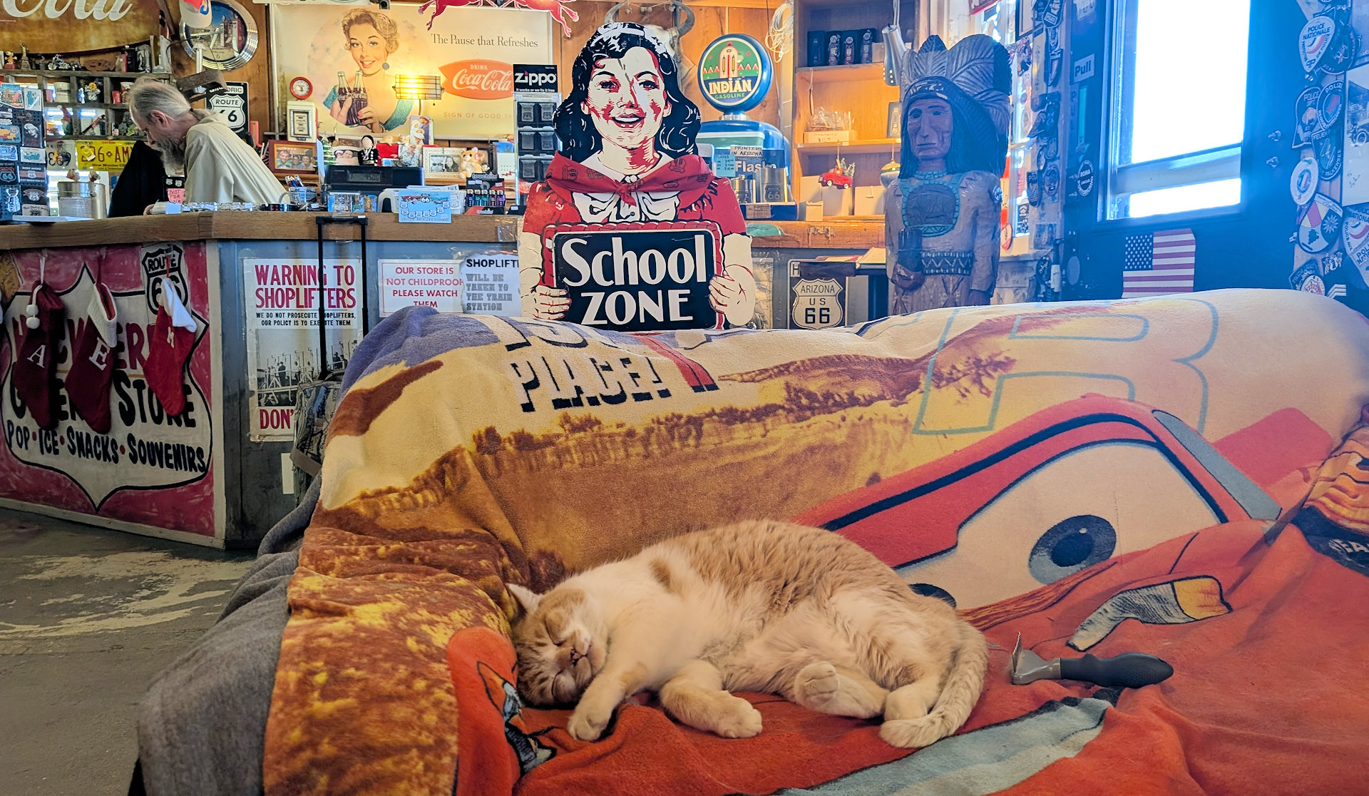 Katze räkelt sich auf einer Cars Decke 