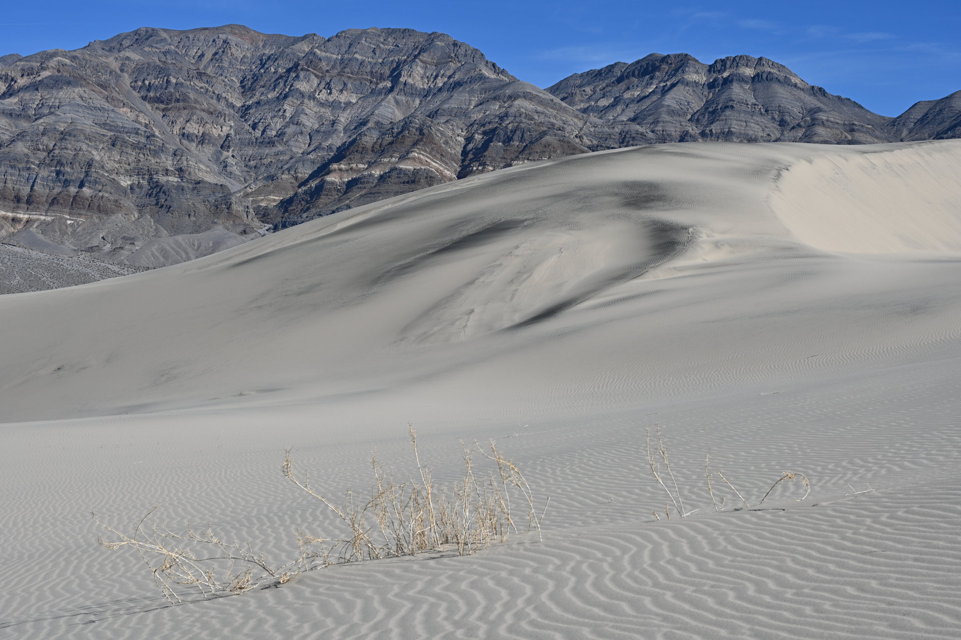Muster im Sand der Eureka Dunes im Death Valley Nationalpark