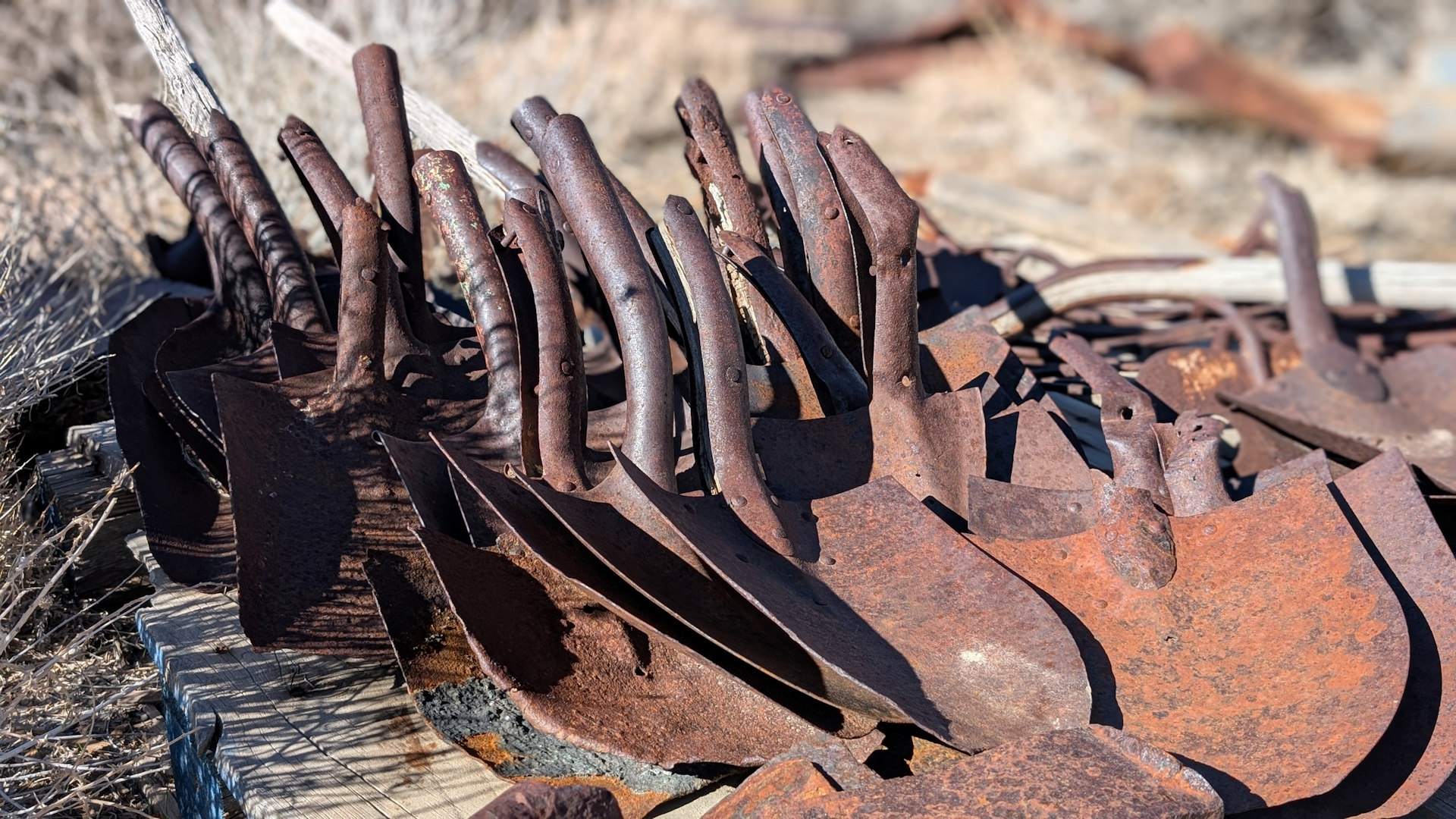 Rostige Schaufel ohne Holzstil