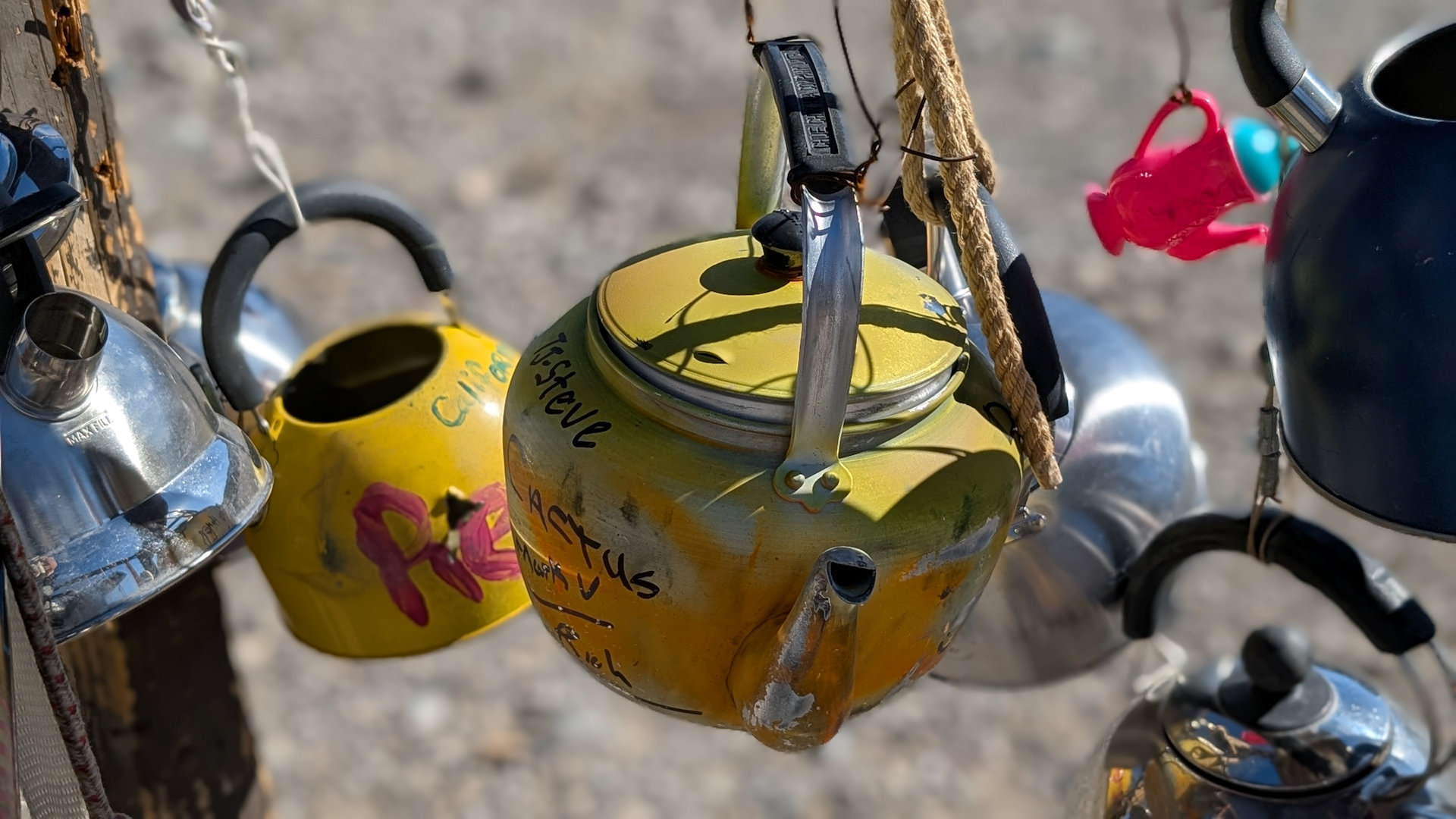 Detailaufnahme von Teekannen der Teakettle Junktion Death Valley