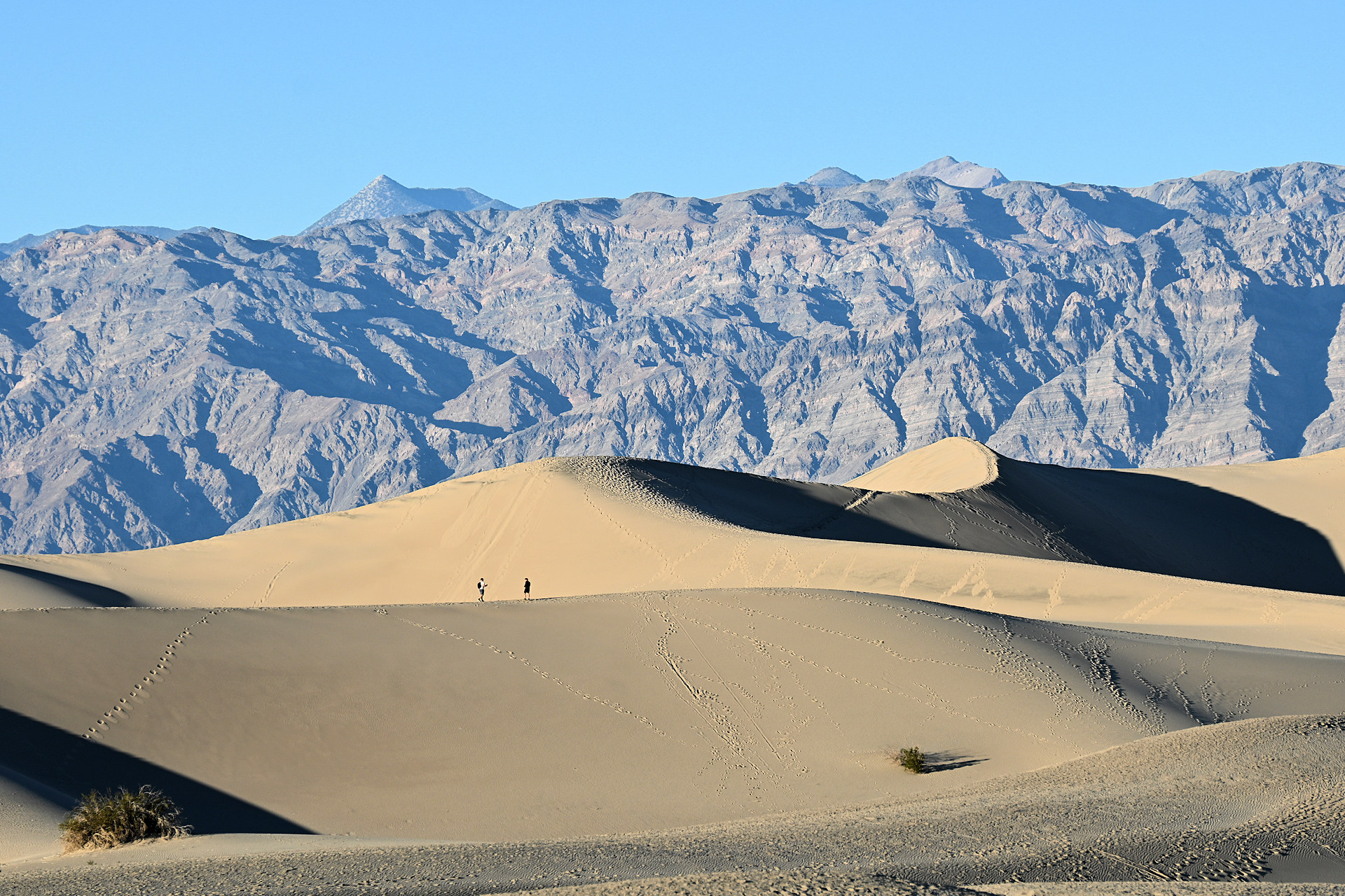 Sand Dünen im Death Valley