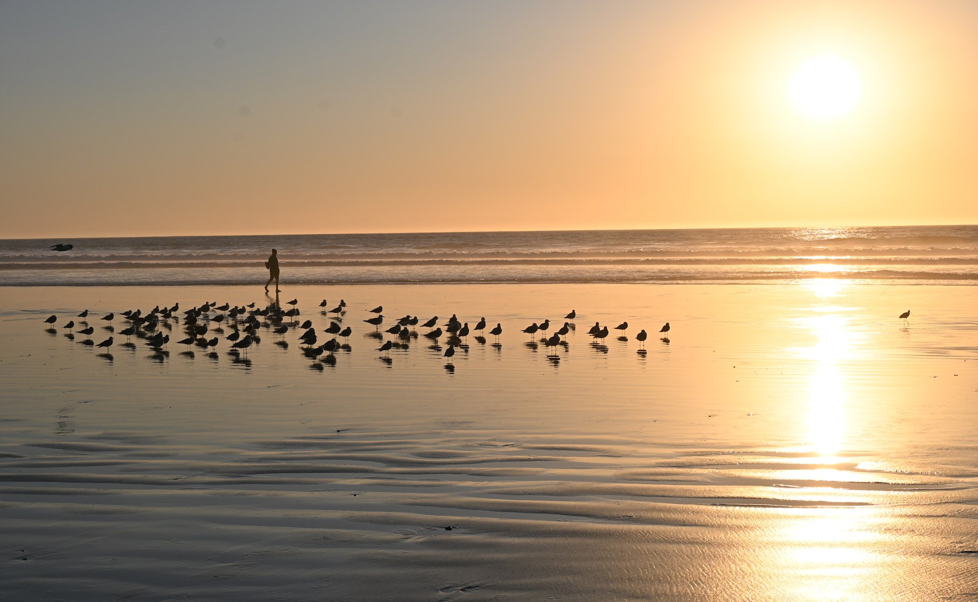 Strand von Morro Bay