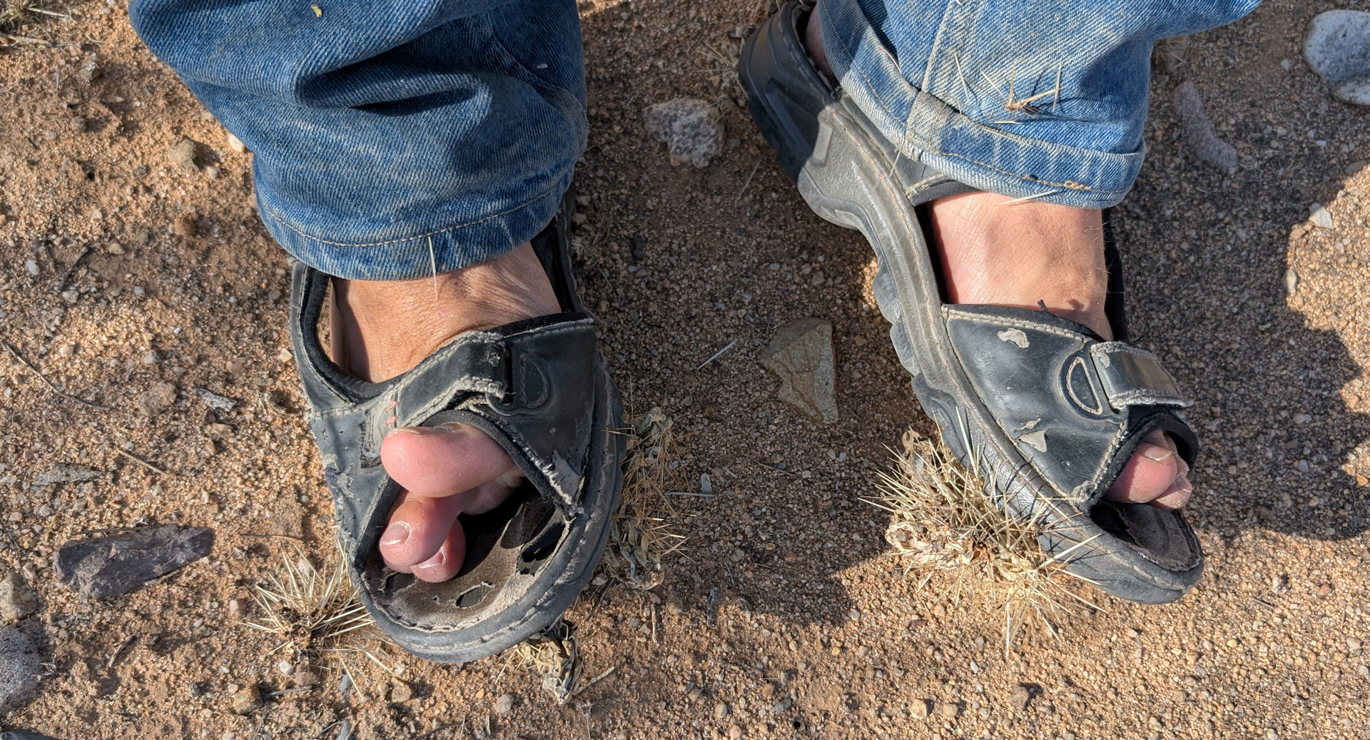 Stachelige Kaktus Teile piksen in eine Sandale