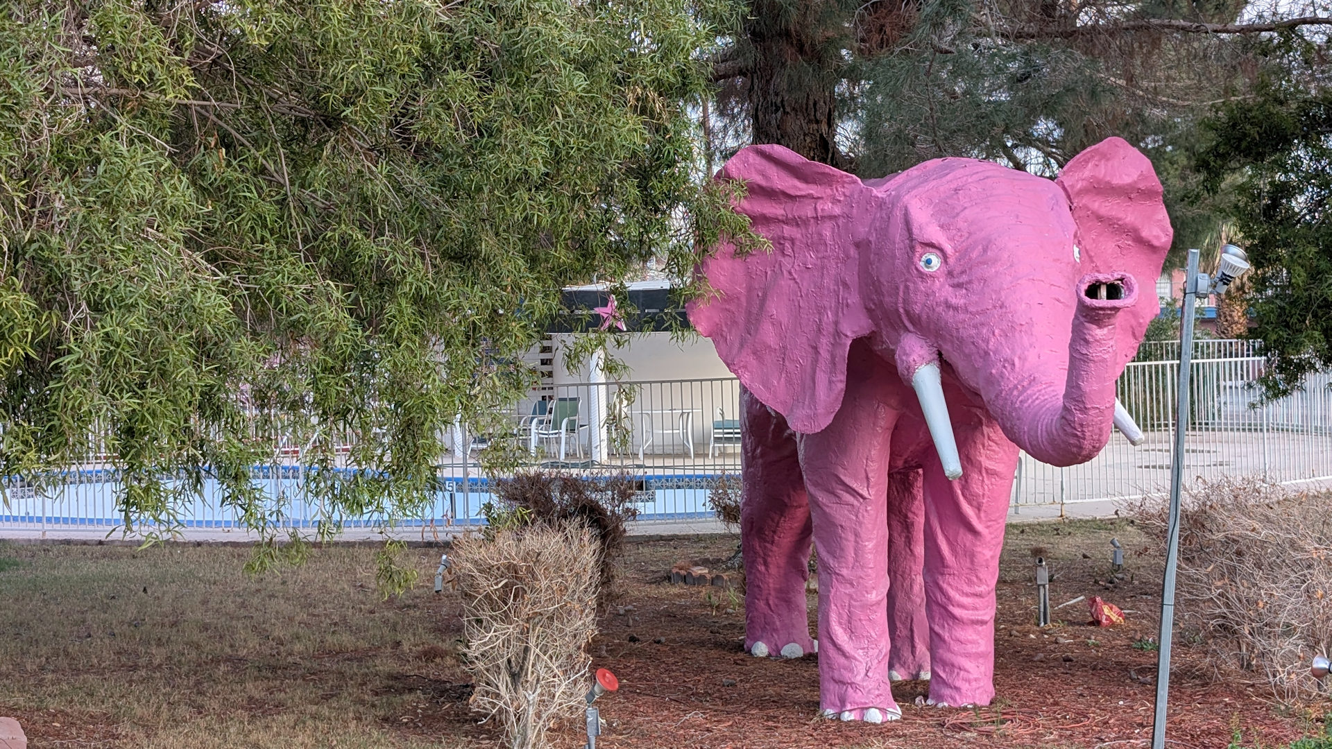 Rosa Elefant vom Diamond Inn Motel in Las Vegas