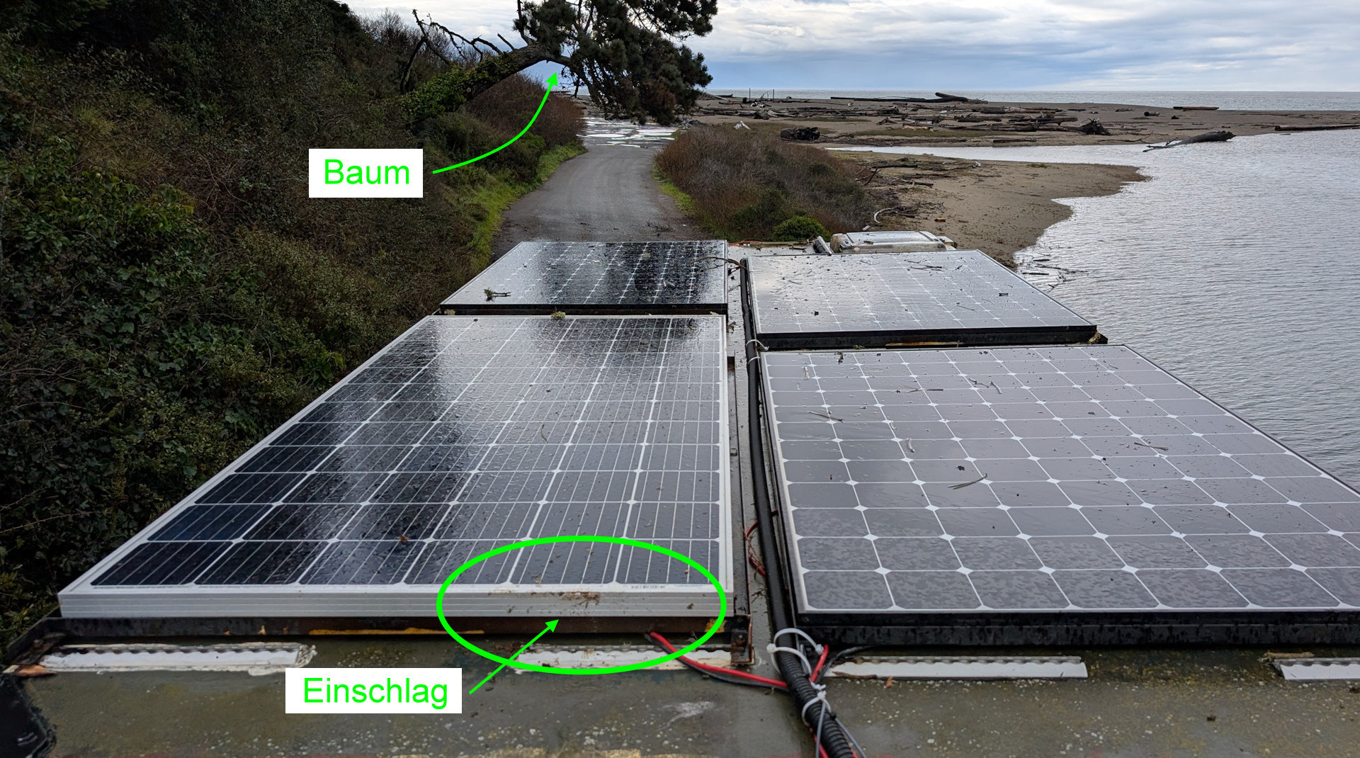 Solarzellen die den Einschlag von einem Ast überlebt haben und intakt geblieben sind. Im Hintergrund ragt ein Baum schräg in die Strasse hinein