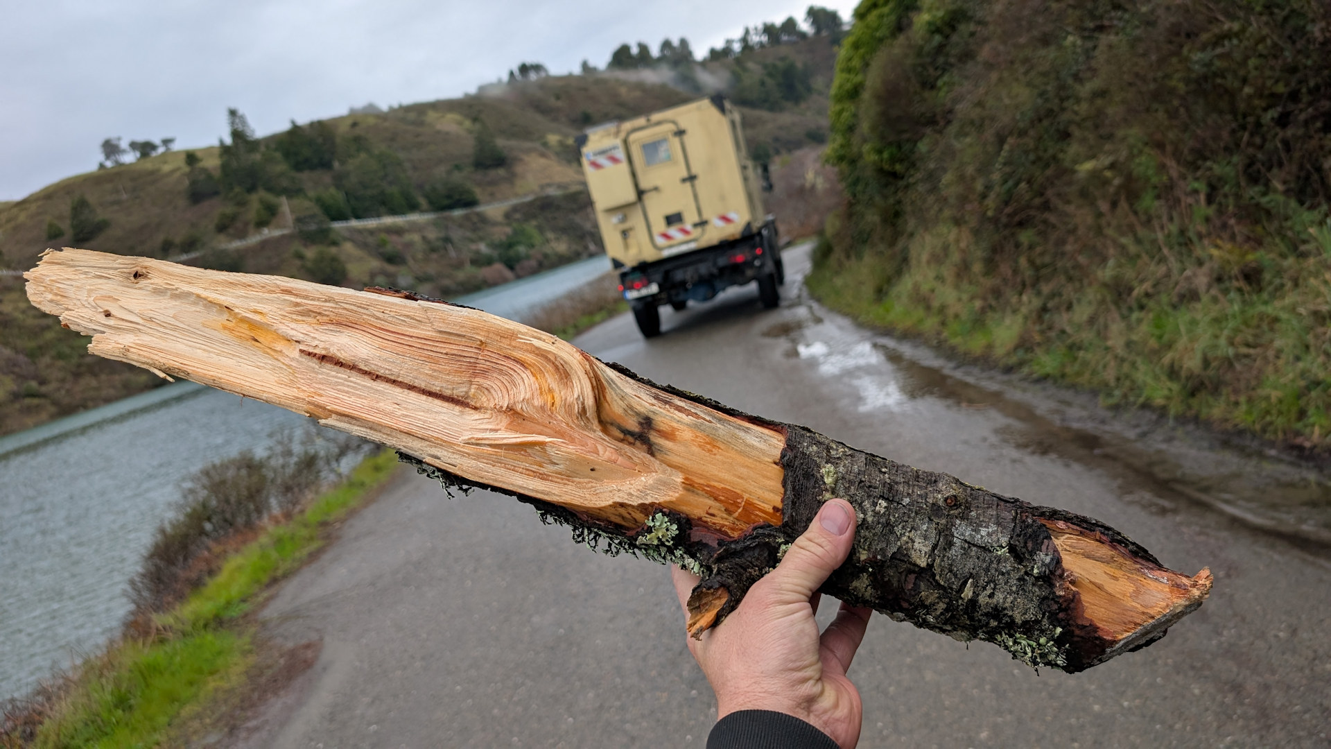 Eine Hand hält einen armdicken Ast hoch, der frisch abgebrochen ist.