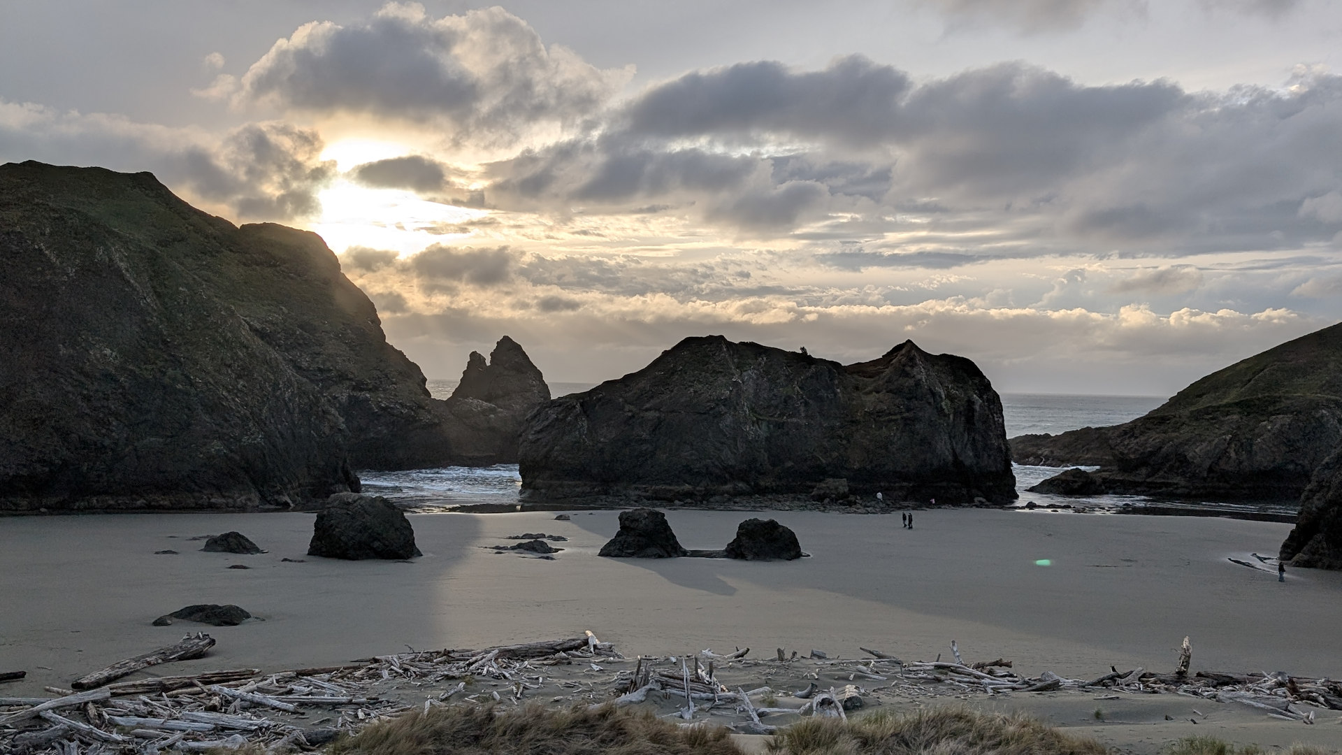 Felsiger, wilder Strand am der Pazifik Küste Washingtons 