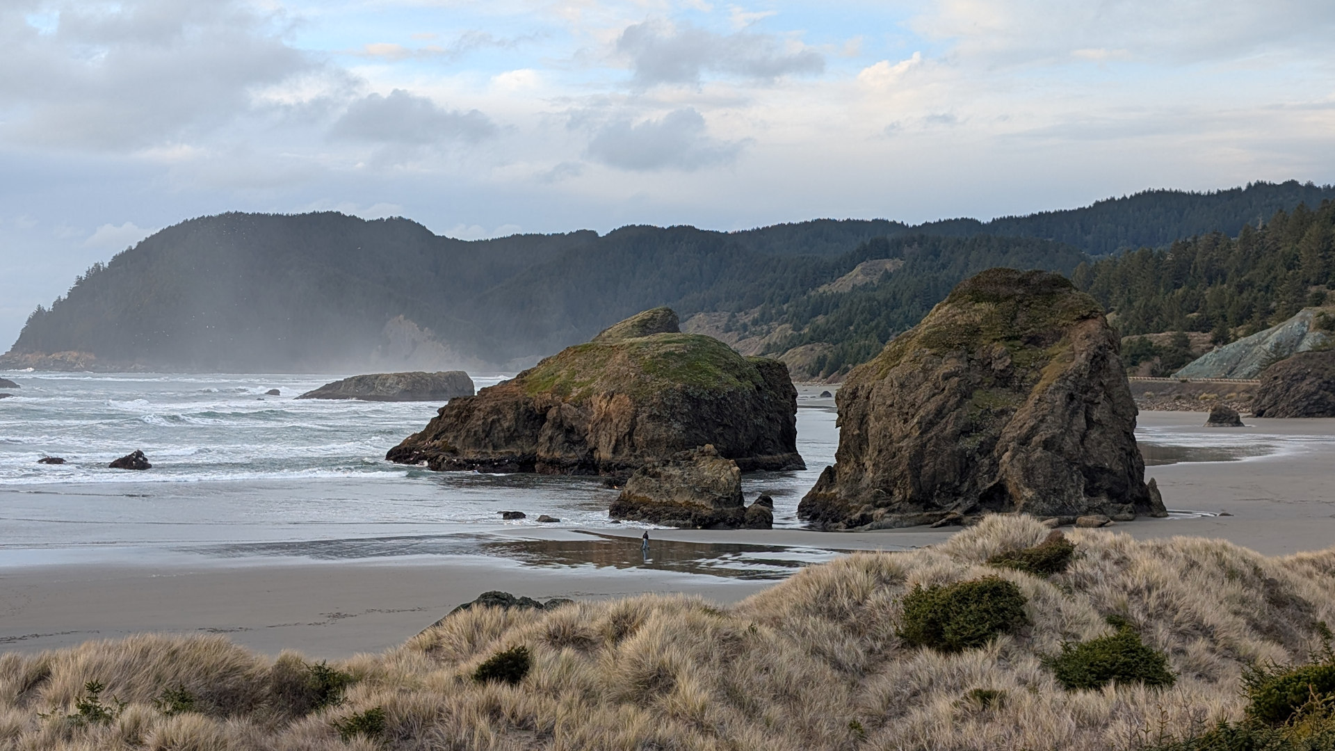 Pazifik Küstenabschnitt mit Felsen an der Küste Washingtons 