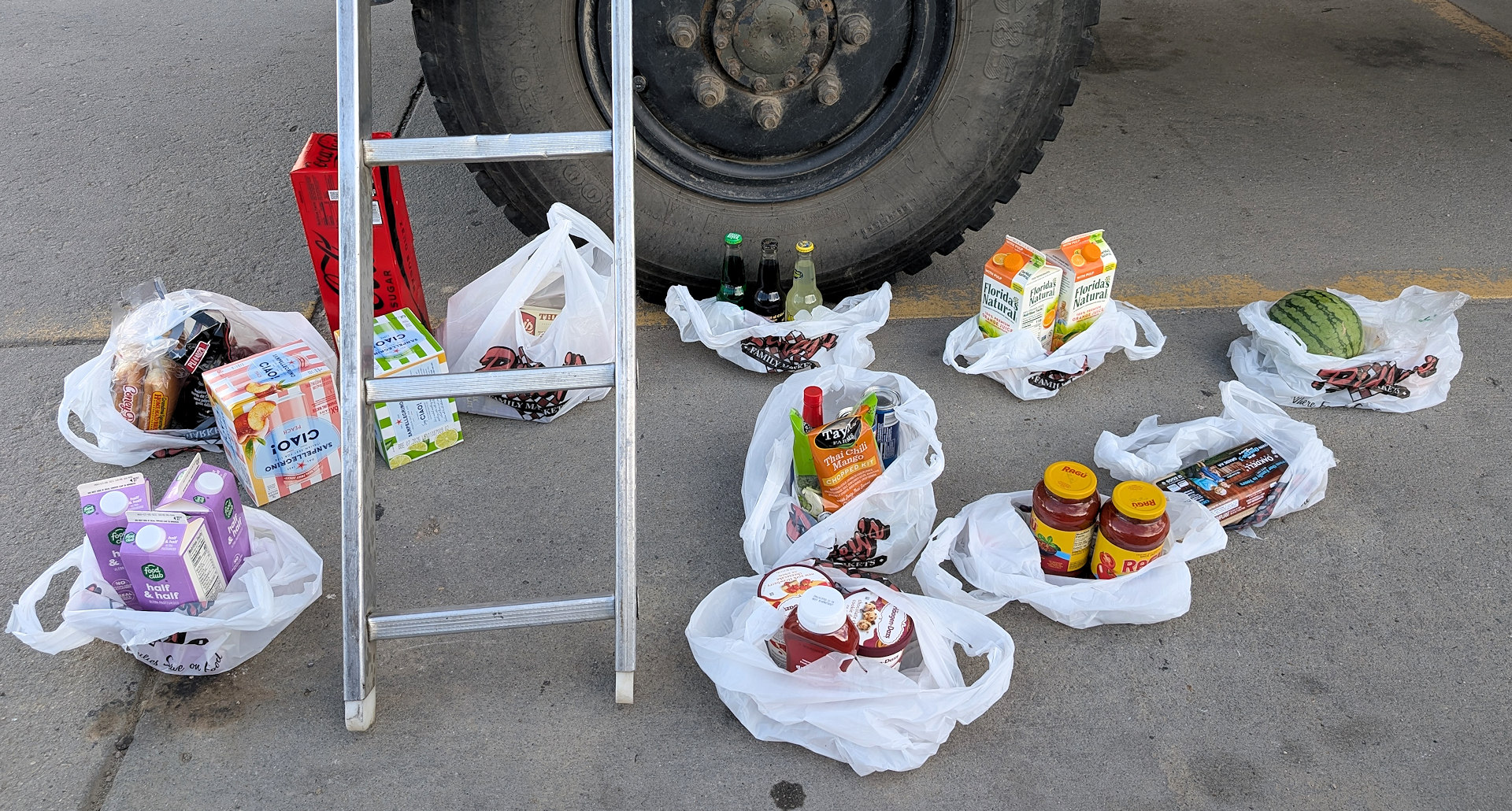 Supermarkt Einkäufe in den USA die in unzähligen extra Plastiktüten verpackt sind