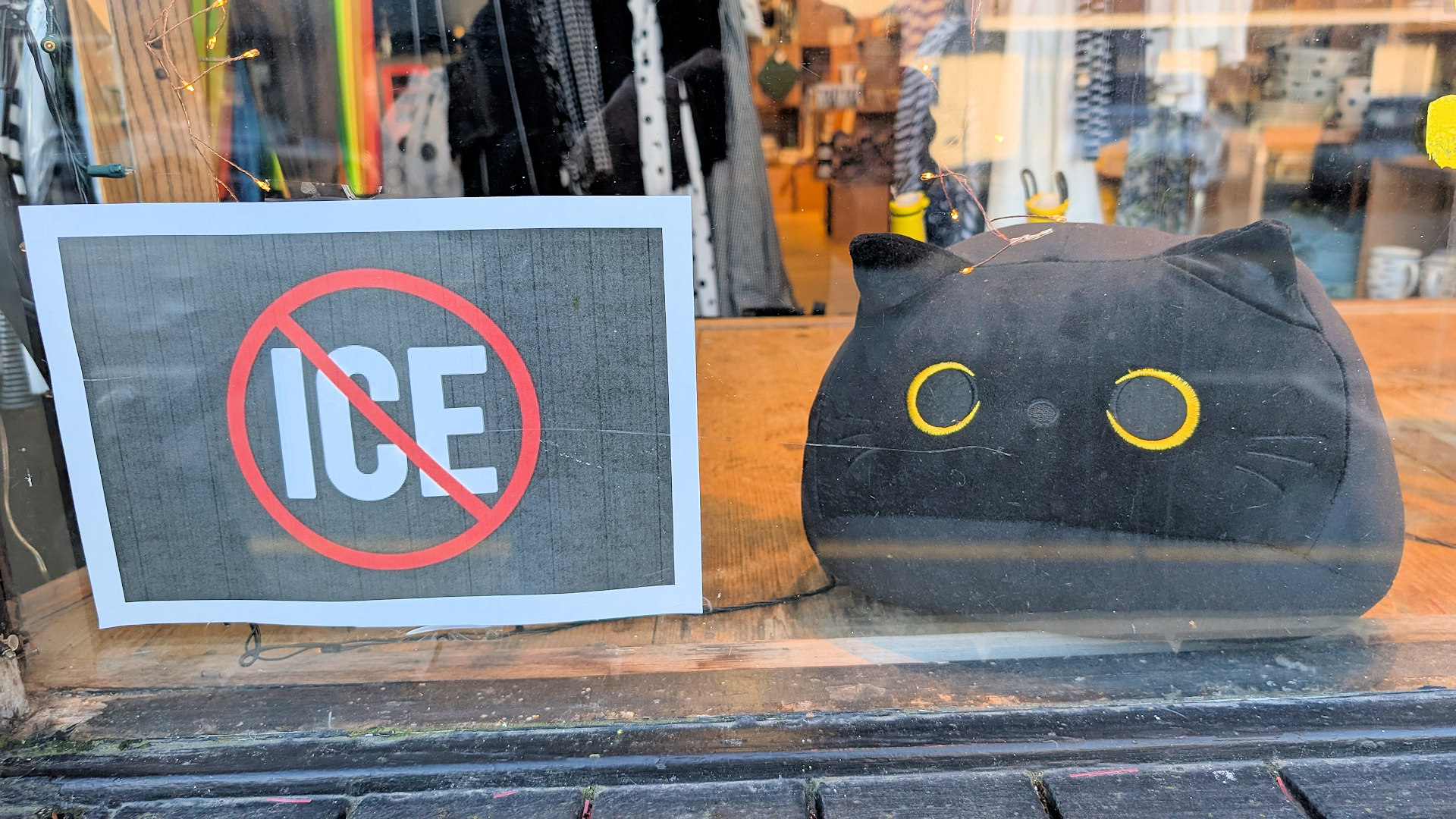 Buchstaben ICE in einem roten Kreis rot durchgestrichen mit einer schwarzen Stoffkatze daneben