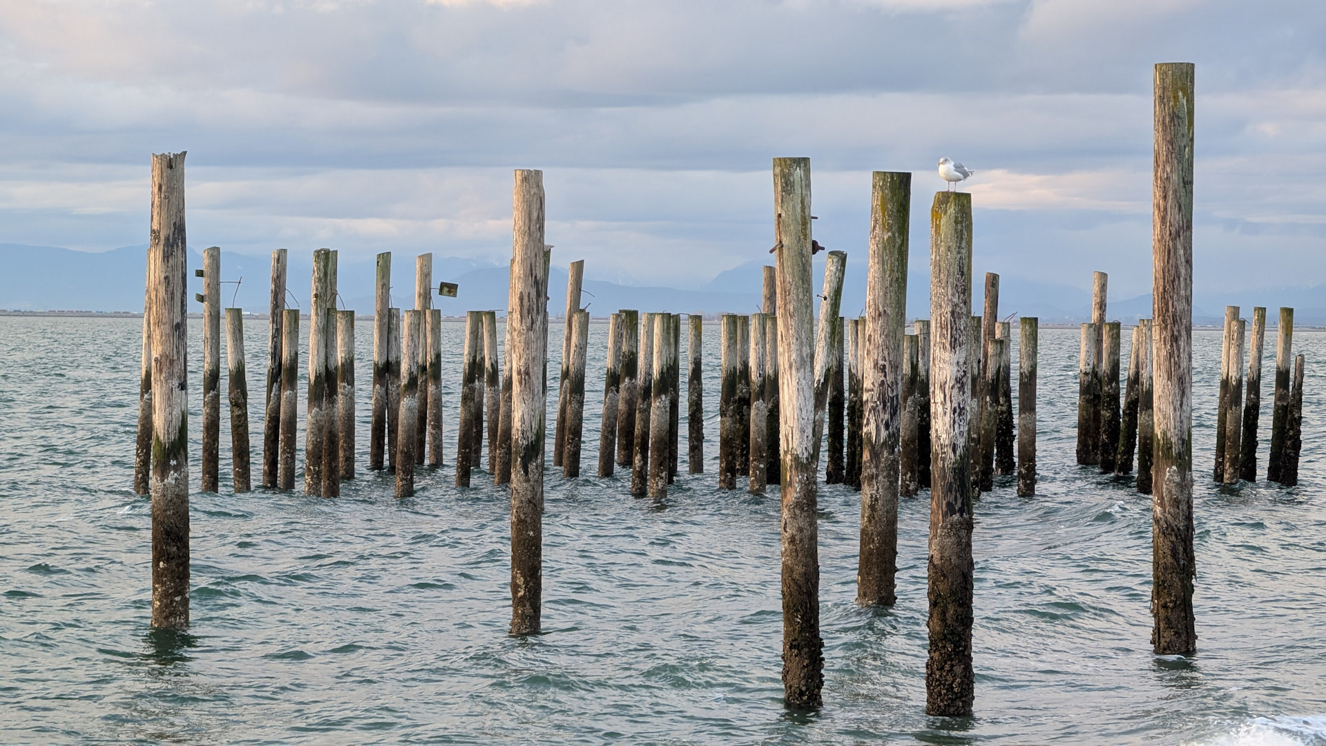 Pfahlbauten in Point Roberts 