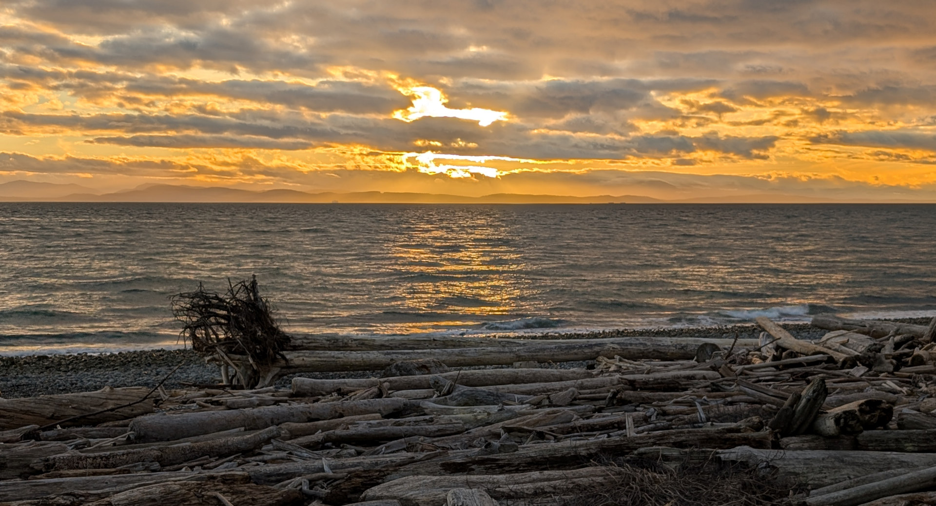 Sonnenuntergang an einem Schwemmholz Strand von Point Roberts, USA