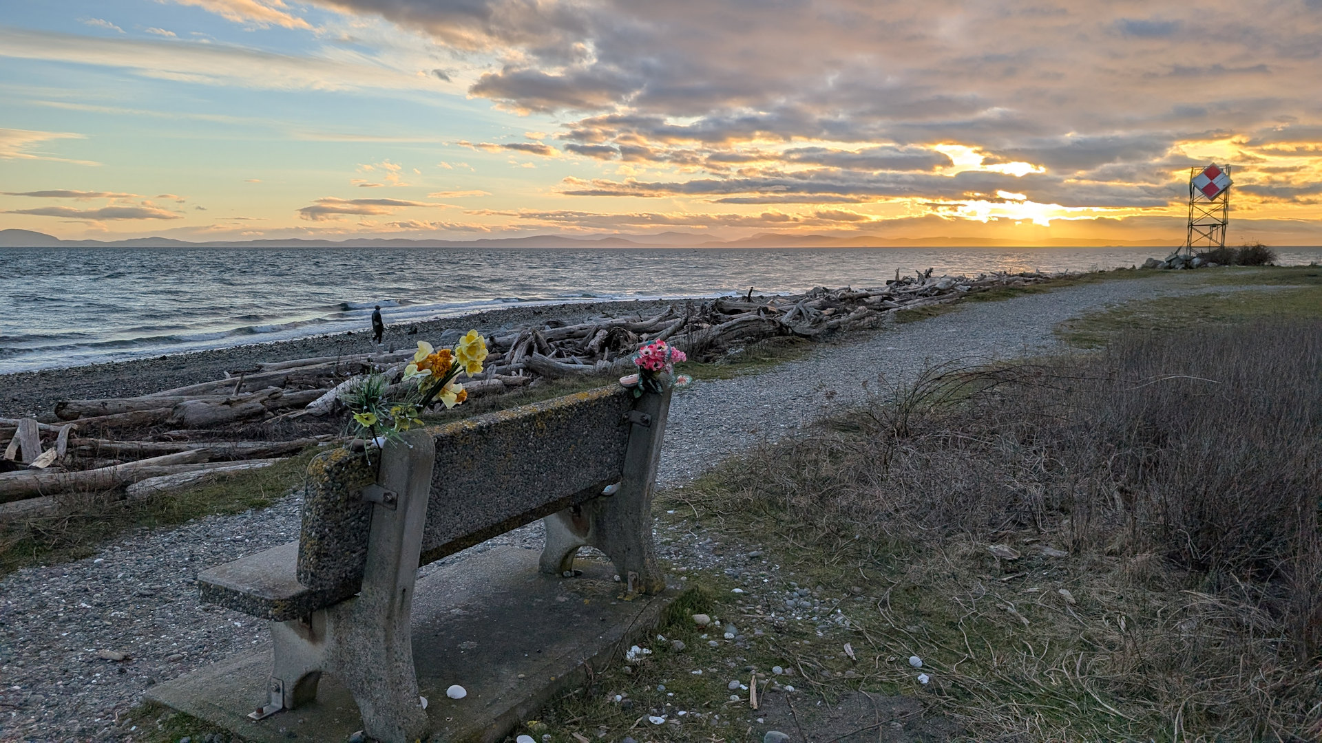 Bank aus Beton mit Blumenschmuck in Point Roberts am Meer 