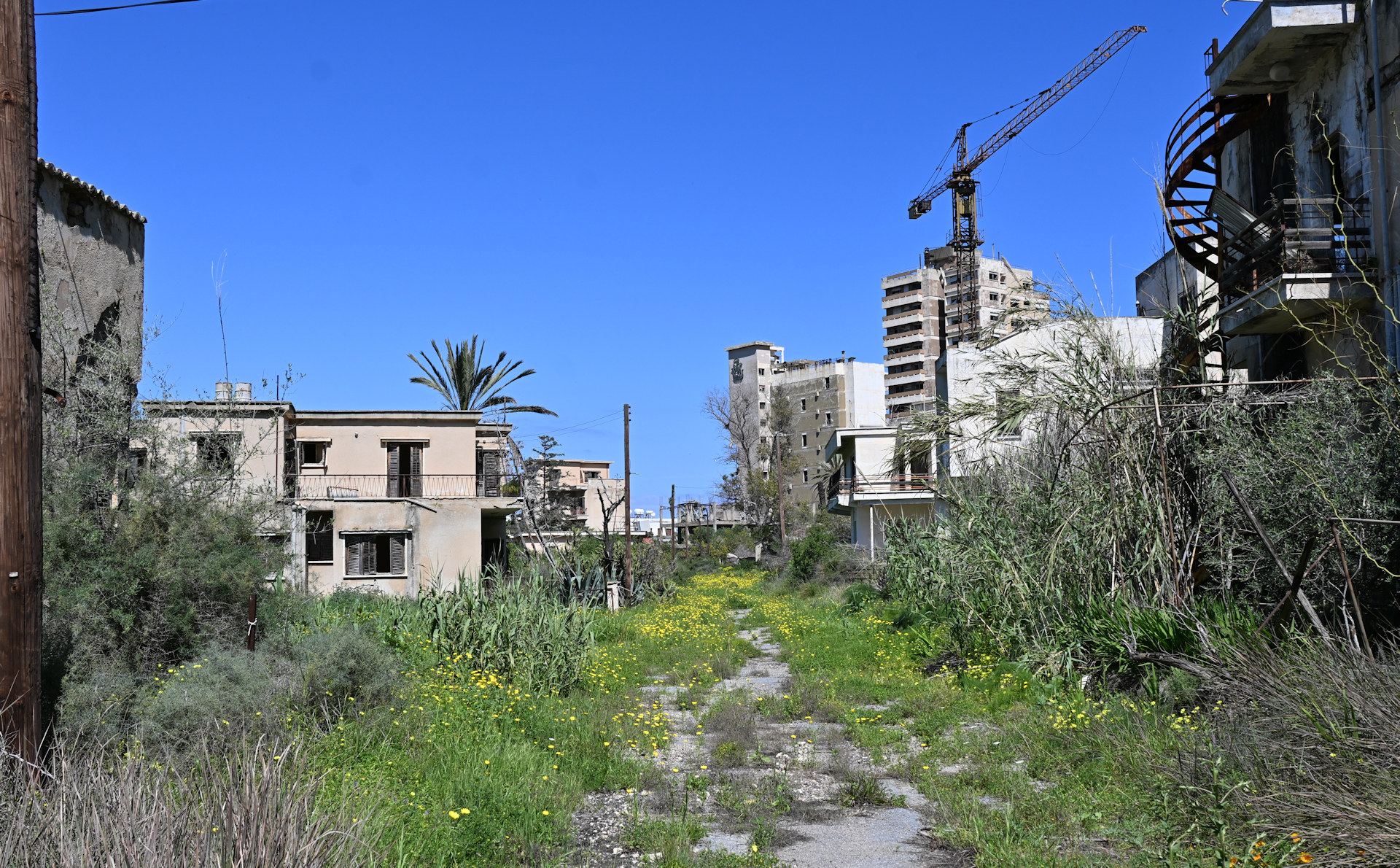 Zugewucherte Hotel Ruinen und ein Baukran in Varosha, Zypern