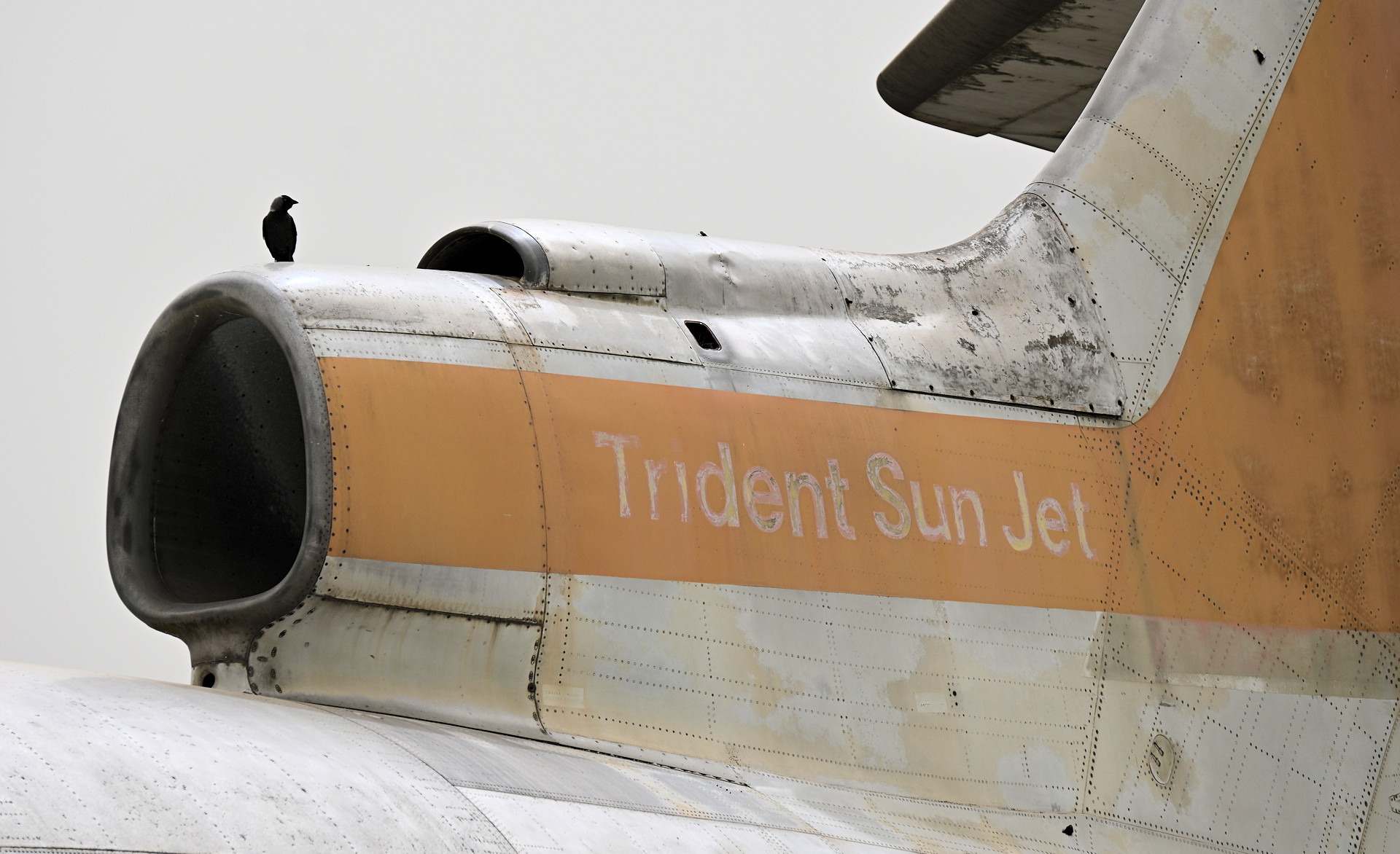 Heckflosse mit Beschriftung Trident Sun Jet vom Flugzeugwrack im ehemaligen Internationalen Flughafen Nikosia 