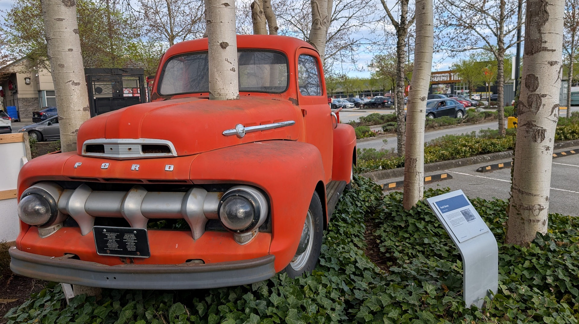Roter Ford der als Kunstwerk von zwei Bäumen durchbohrt wird 
